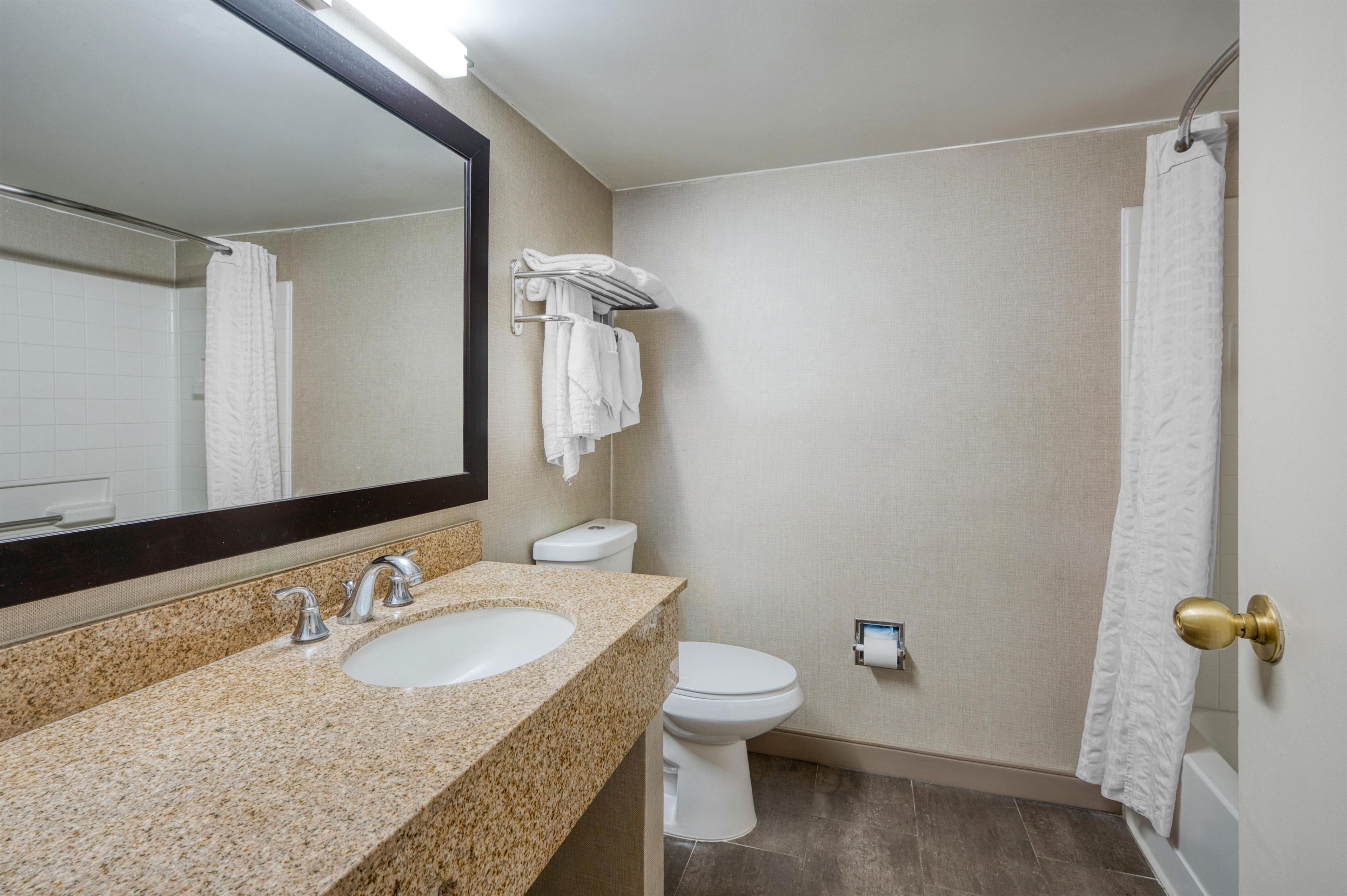 A bathroom with a double sink, a toilet, a towel rack, and a shower curtain.