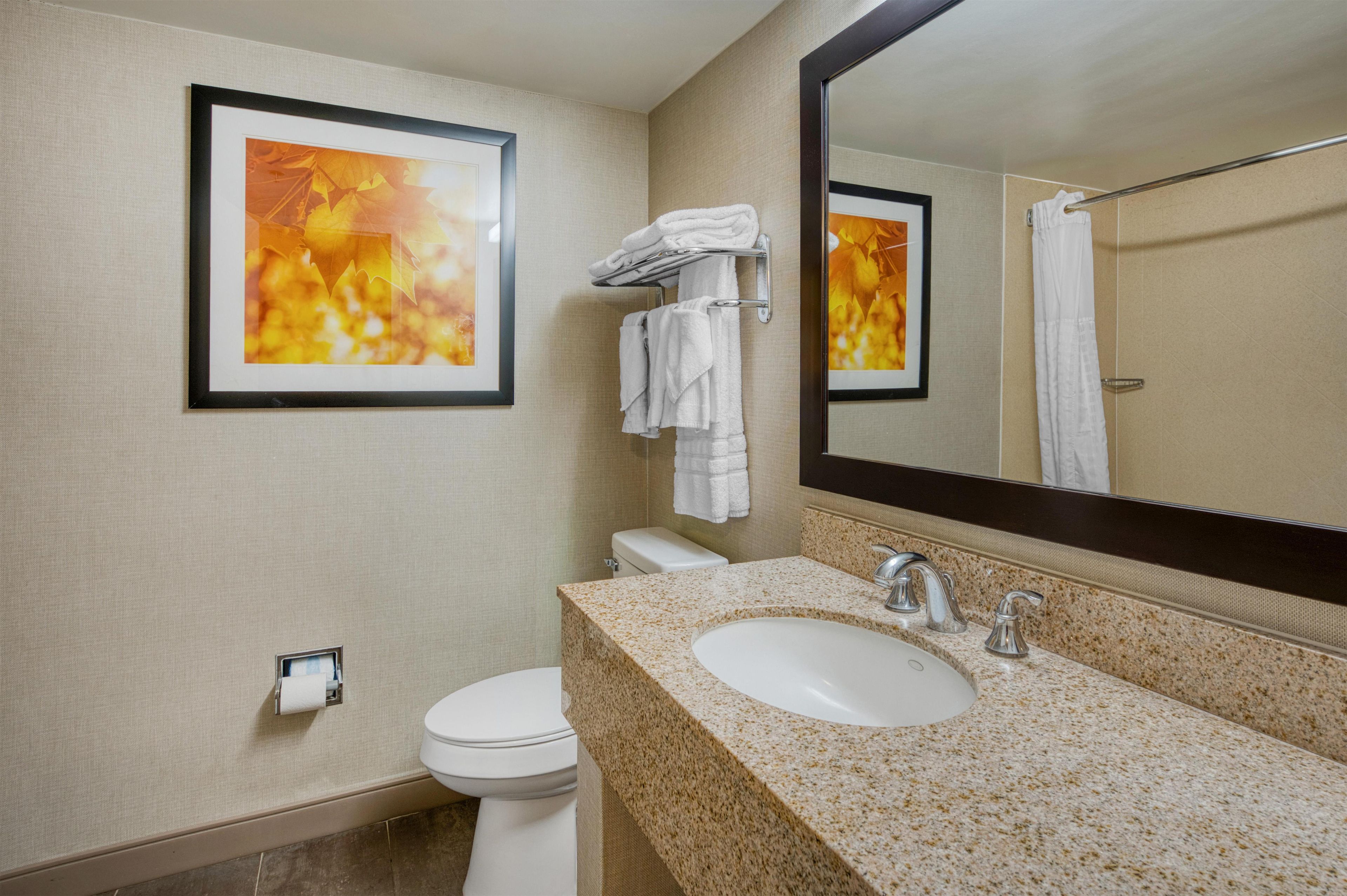 A bathroom with a sink, mirror, toilet, and framed artwork on the wall.