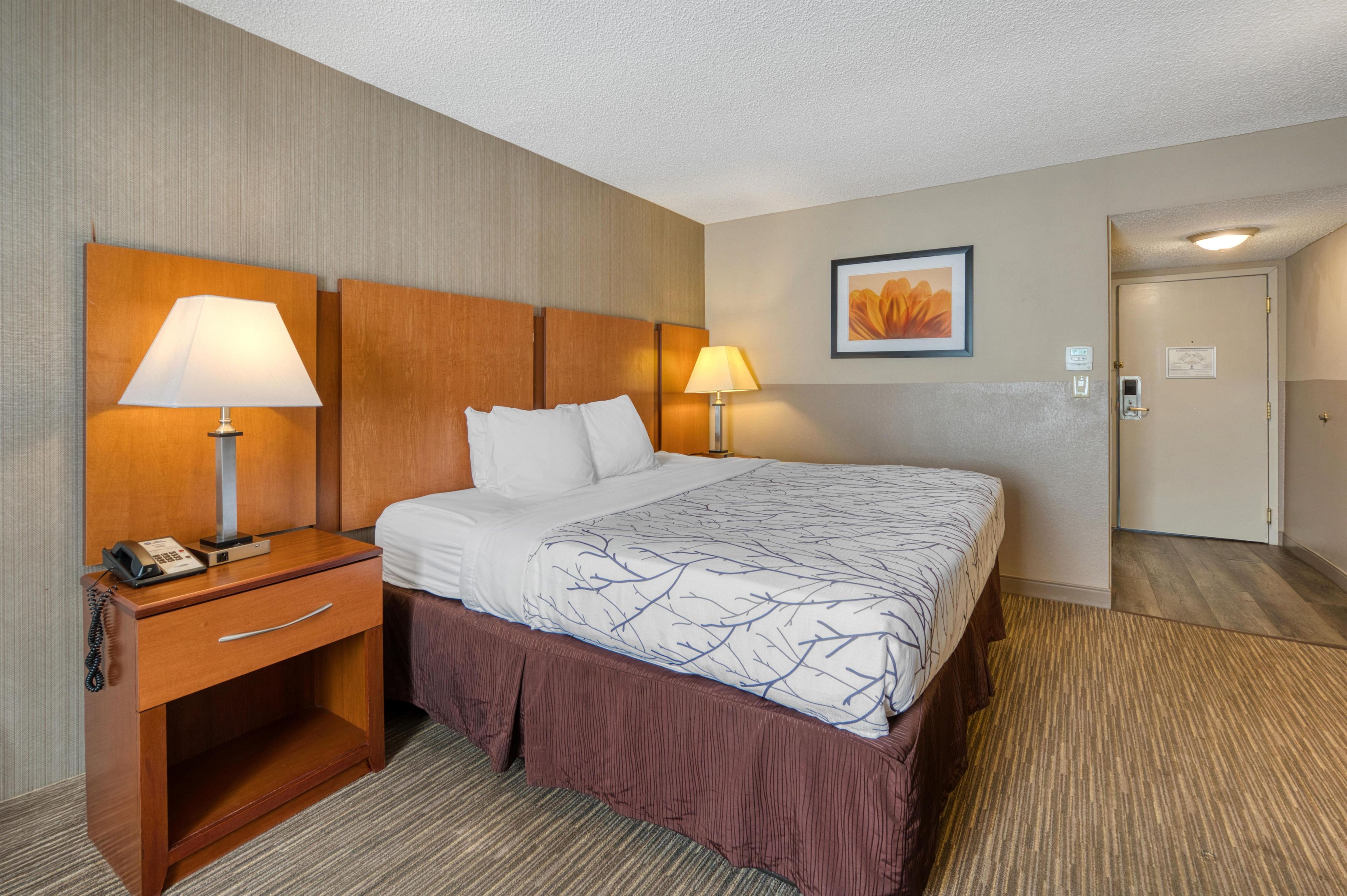 A hotel room with a bed, bedside lamps, a desk with a phone, and a door leading to another room.