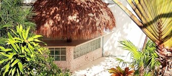 Tropical Casablanca Party Zone