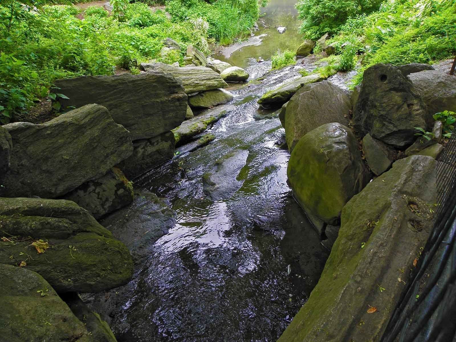 A narrow stream flowing through a rocky terrain with large boulders and lush green vegetation.