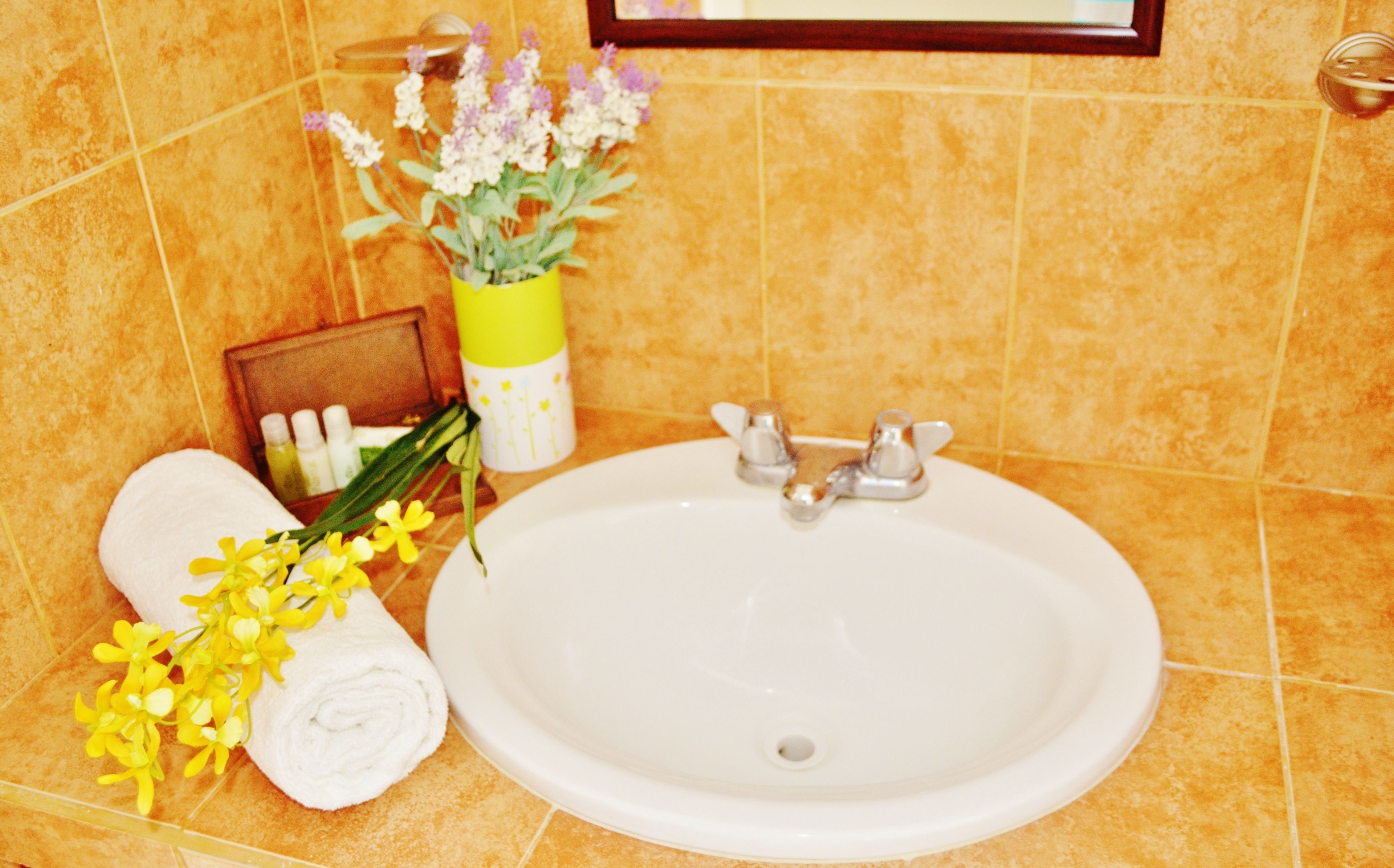 shower, free toiletries, towels, shampoo