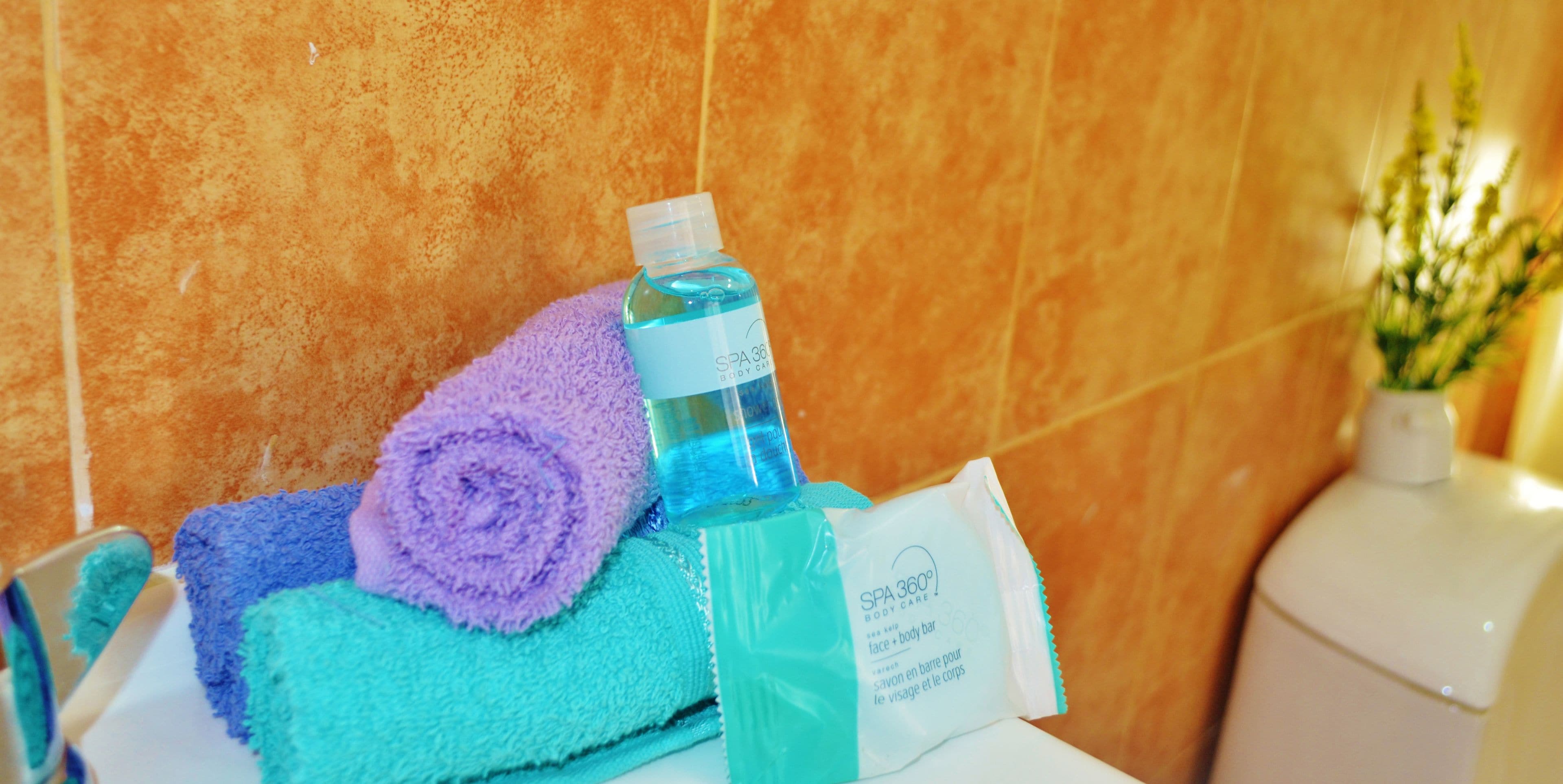 deluxe suite, 1 bedroom, kitchen, partial ocean view | bathroom | shower, free toiletries, towels, shampoo