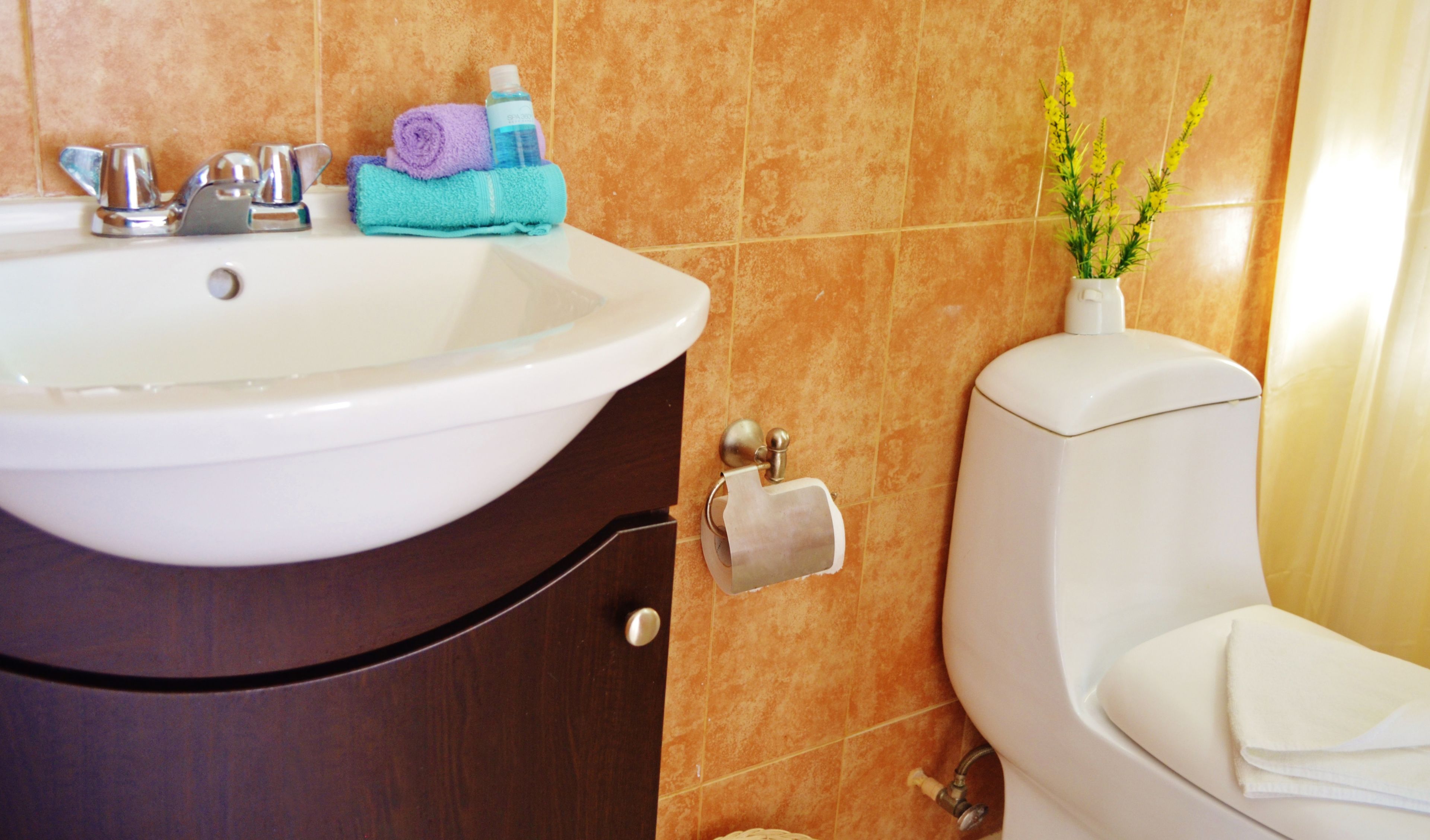 deluxe suite, 1 bedroom, kitchen, partial ocean view | bathroom | shower, free toiletries, towels, shampoo