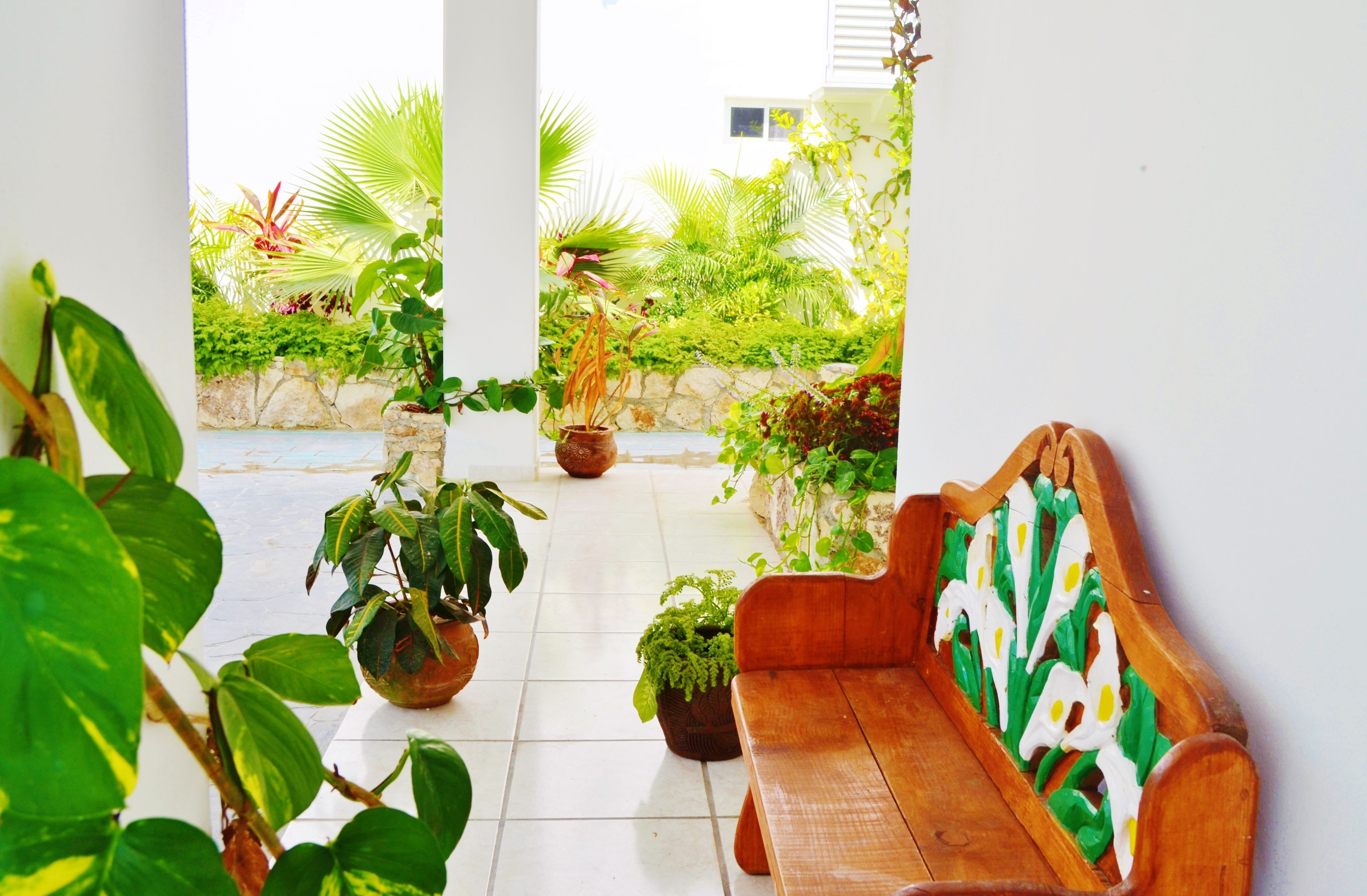 A sunlit patio with a wooden bench and potted plants.