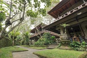 Jardim