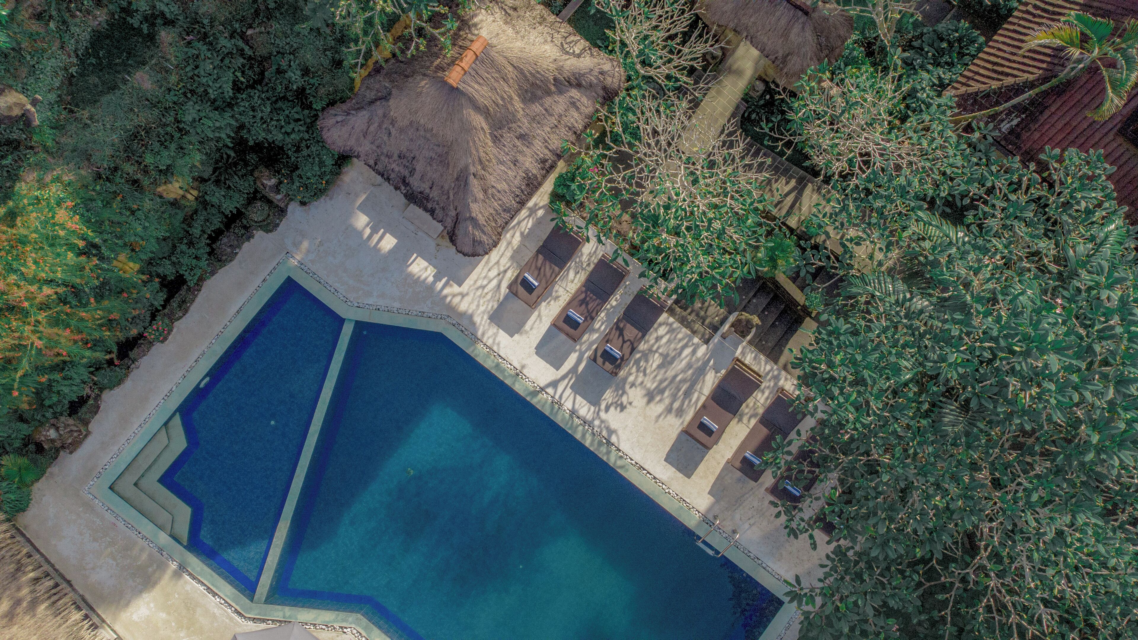 outdoor pool, pool umbrellas, pool loungers