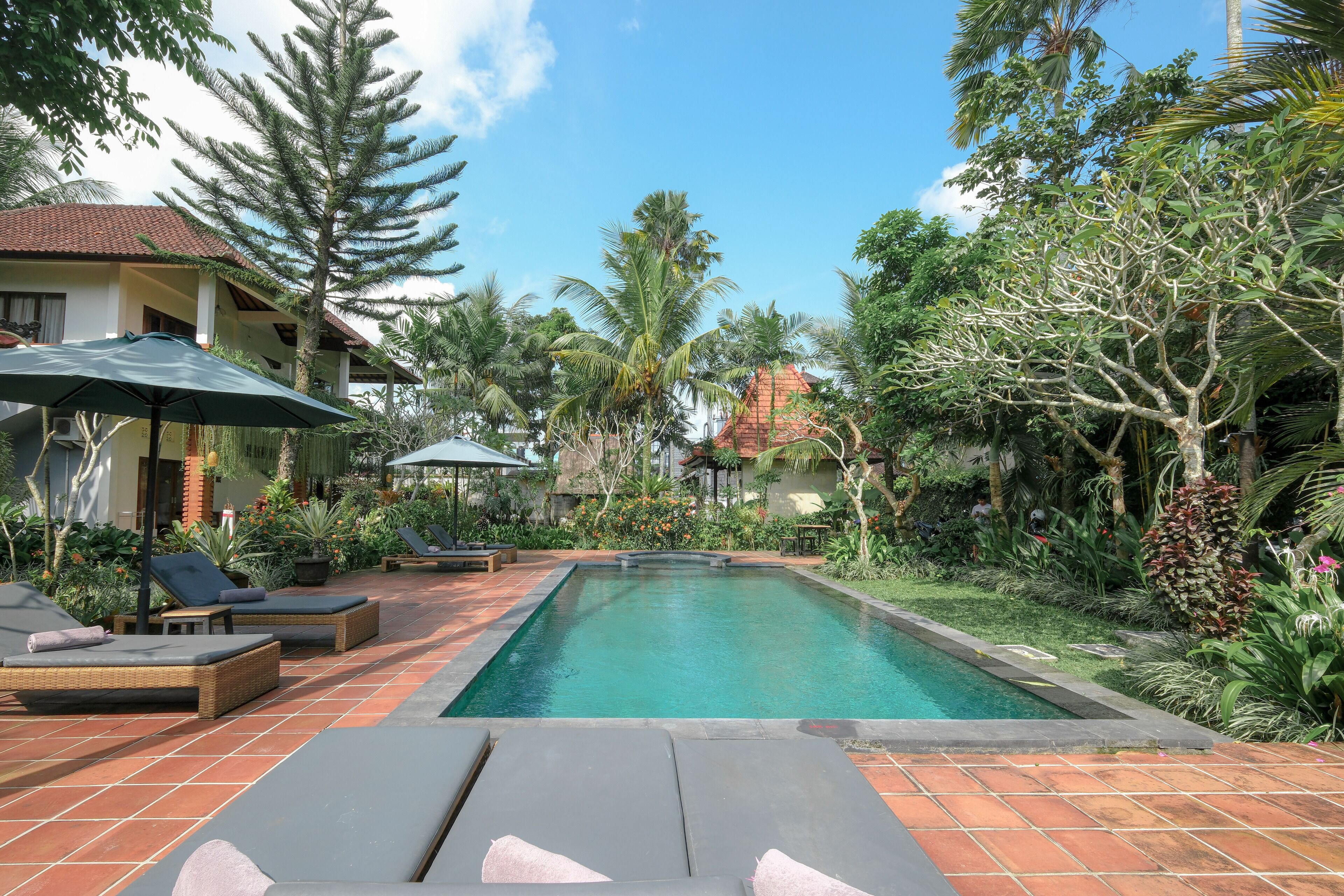 Foto - Artini Bisma Ubud Hotel