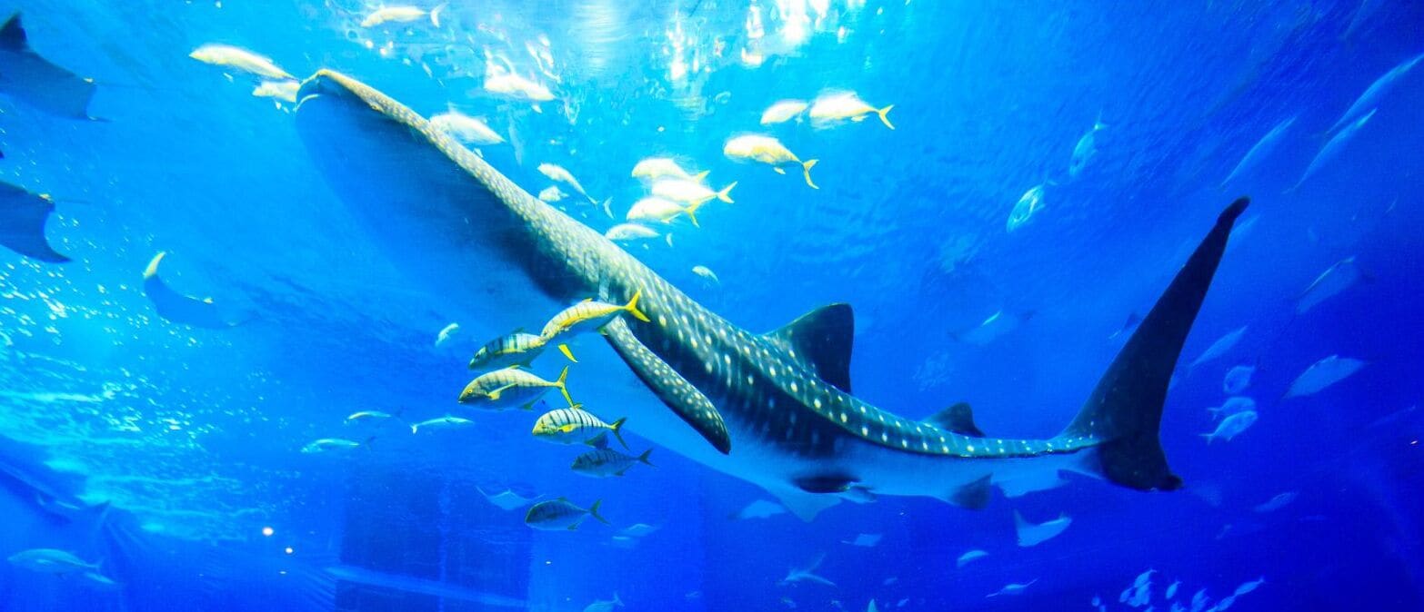 land view from property