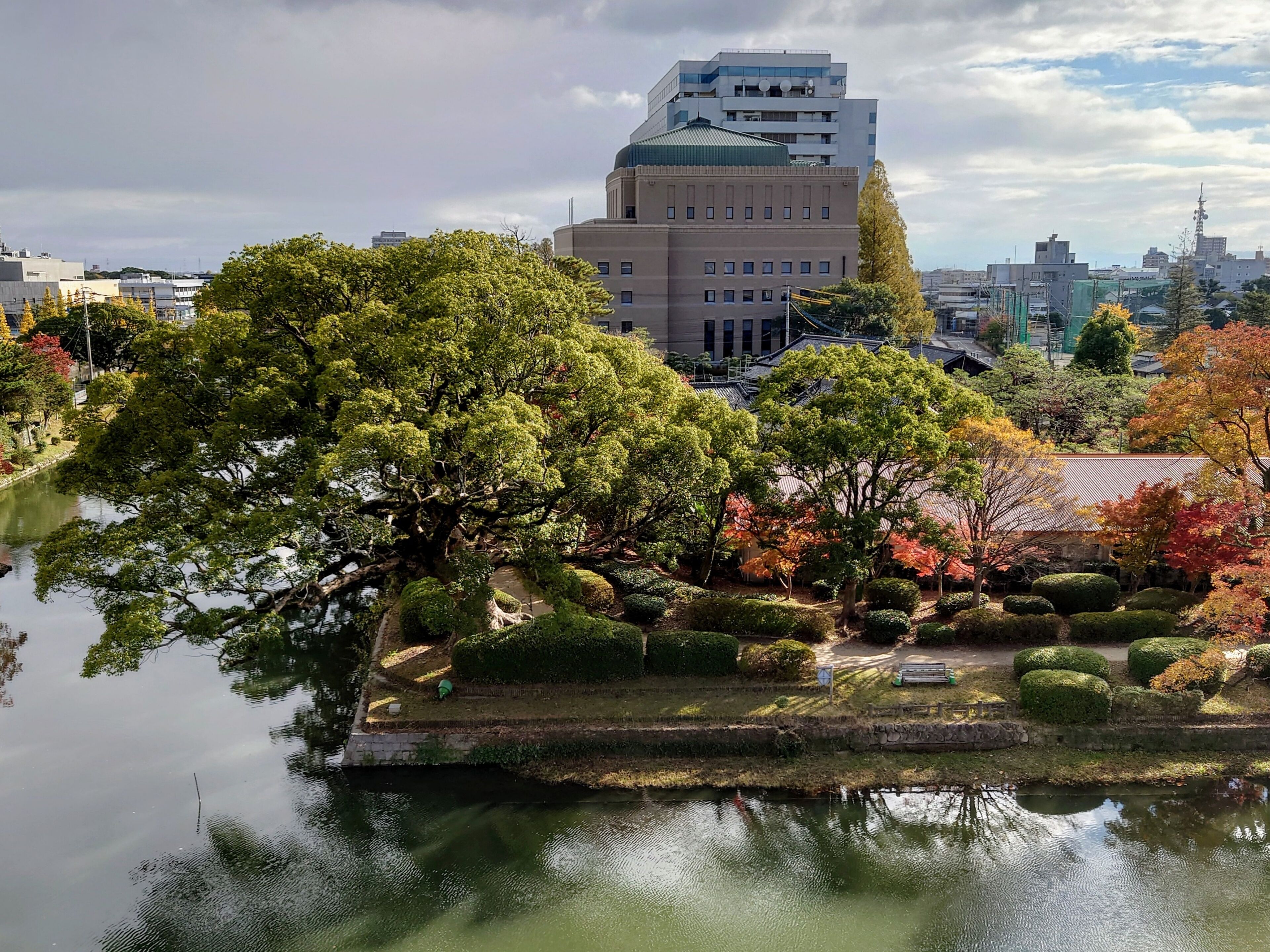 A serene park with a pond, lush trees, and a modern building in the background.