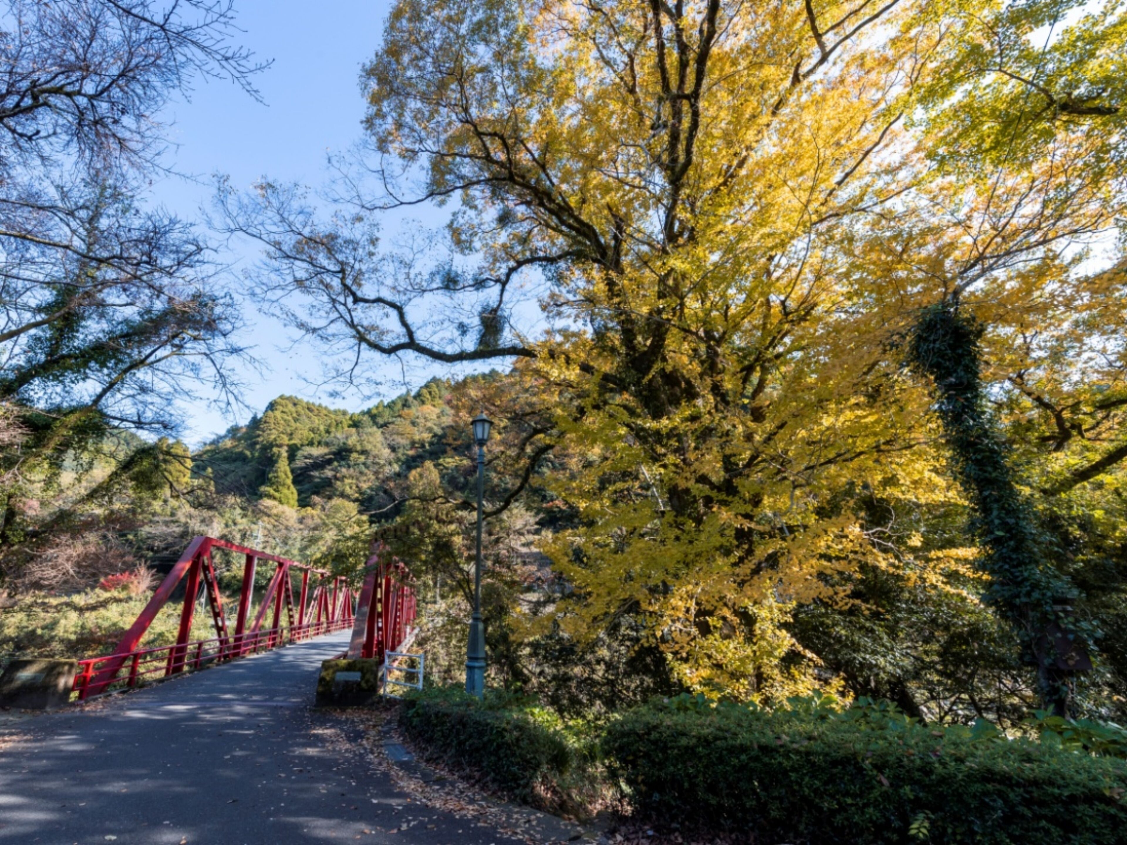 A red bridge in a forested area with a clear sky.