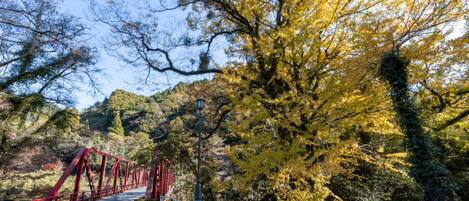 A red bridge in a forested area with a clear sky.