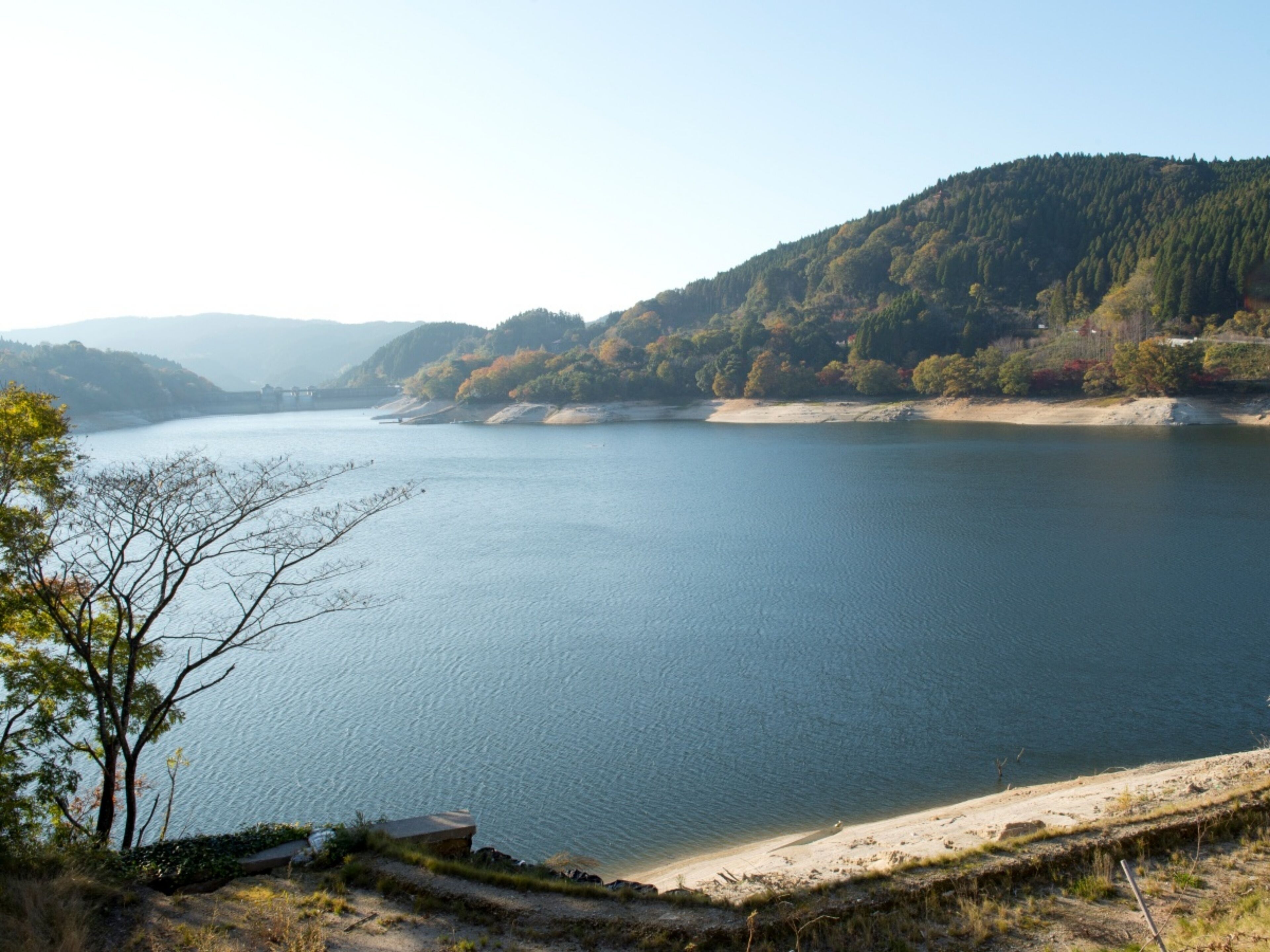 A serene lakeside view with a sandy beach and a forested hillside.