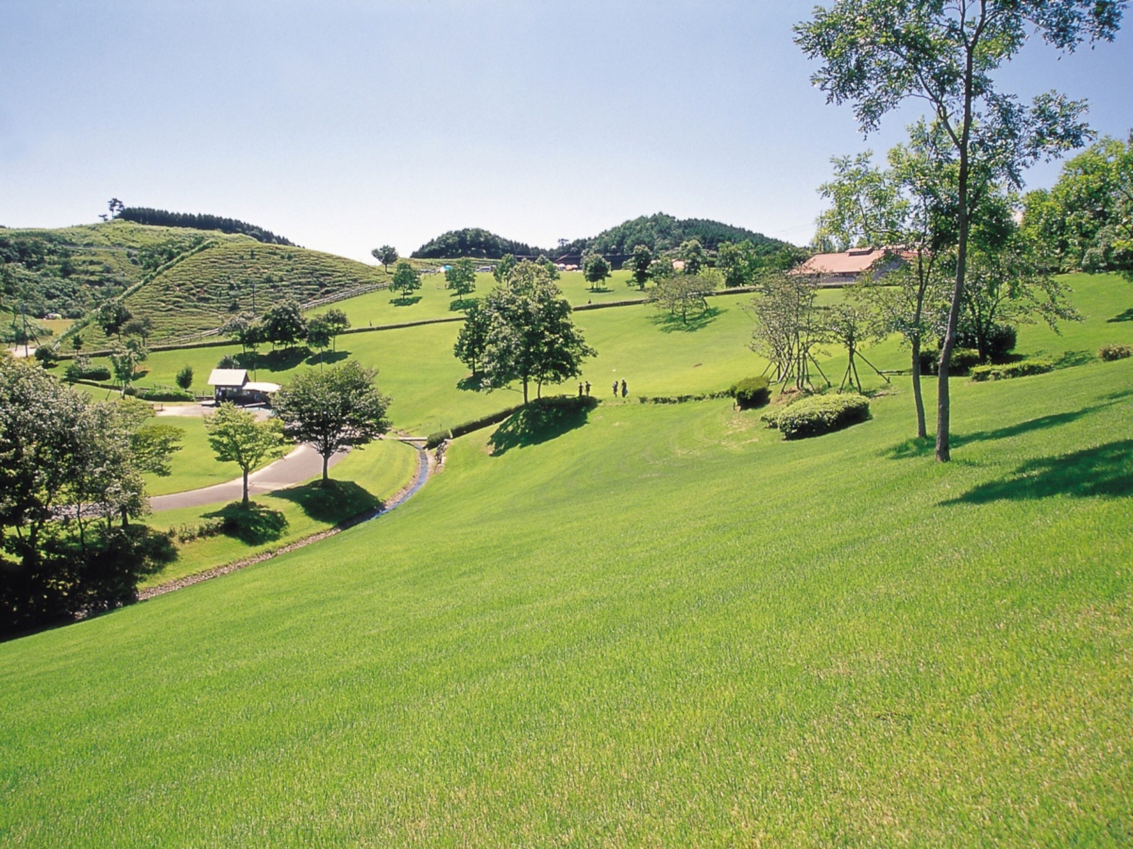 A rural landscape with rolling hills, a winding road, and scattered trees.