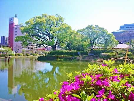 Land view from property. Hotel New Otani Saga
