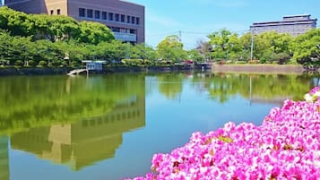Un lago sereno con flores rosadas al frente, rodeado de abundante vegetación y edificios al fondo.
