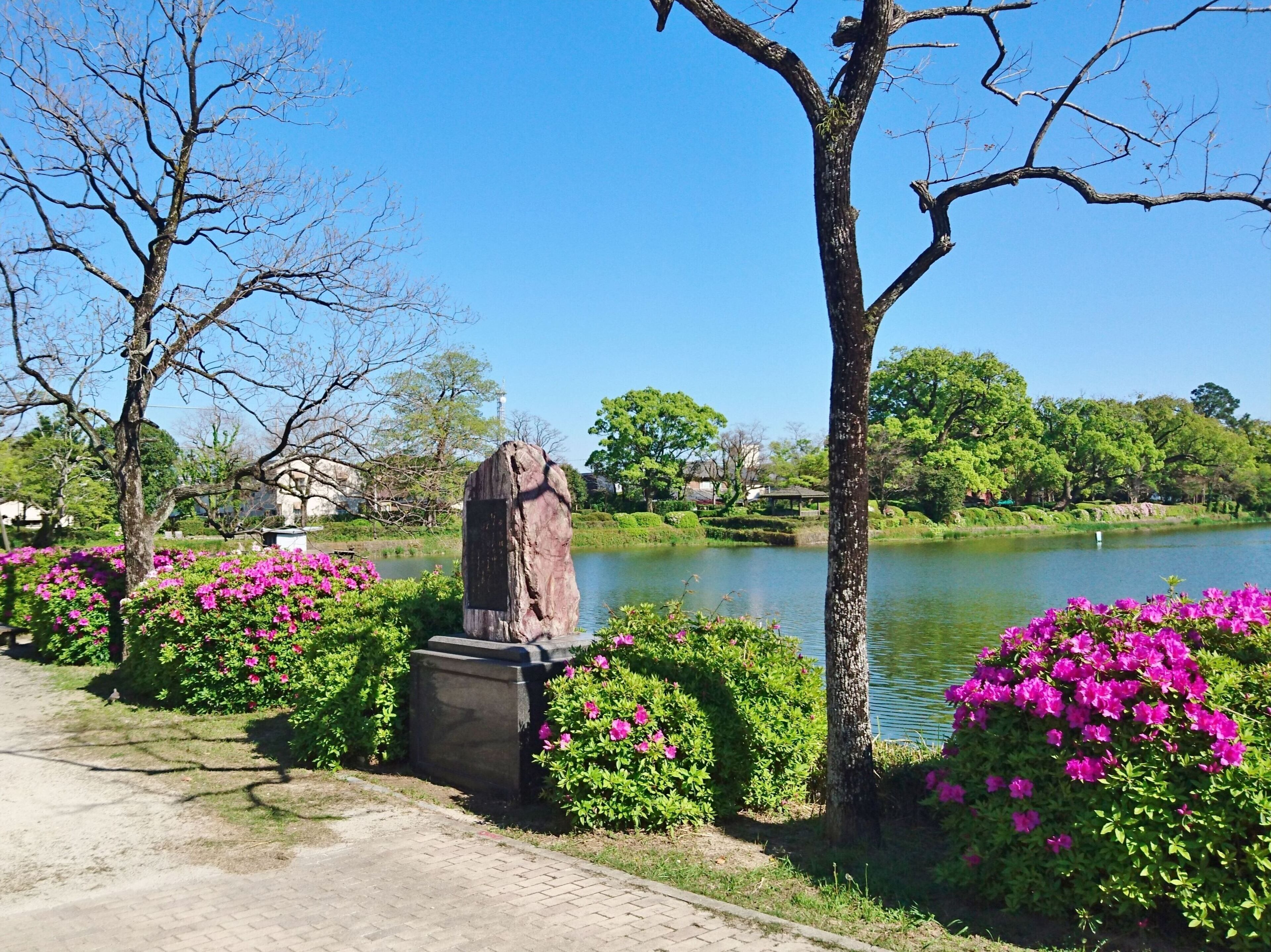 land view from property