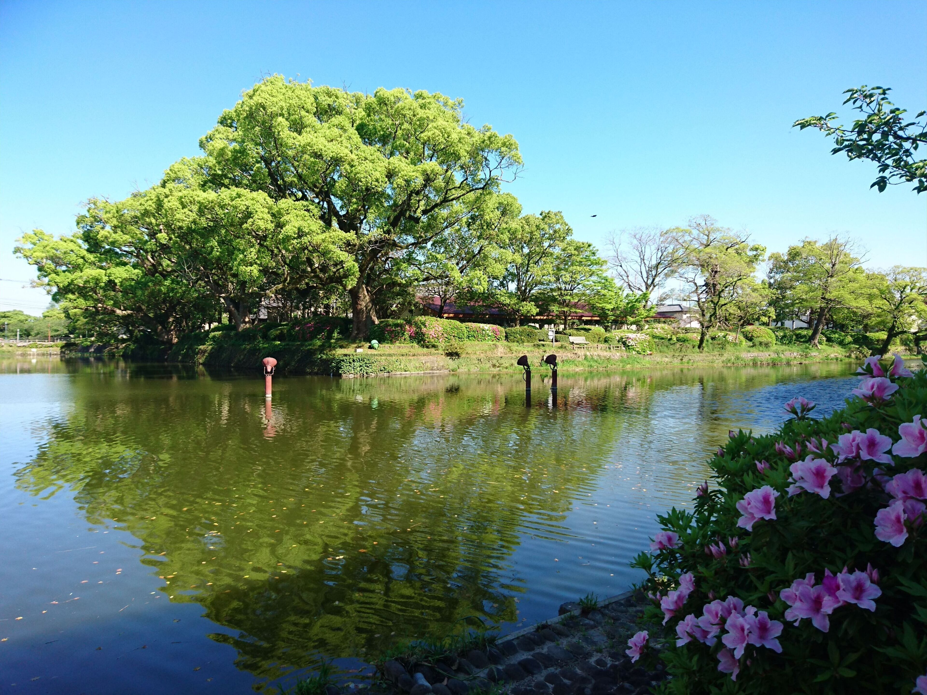 ランド ビュー
