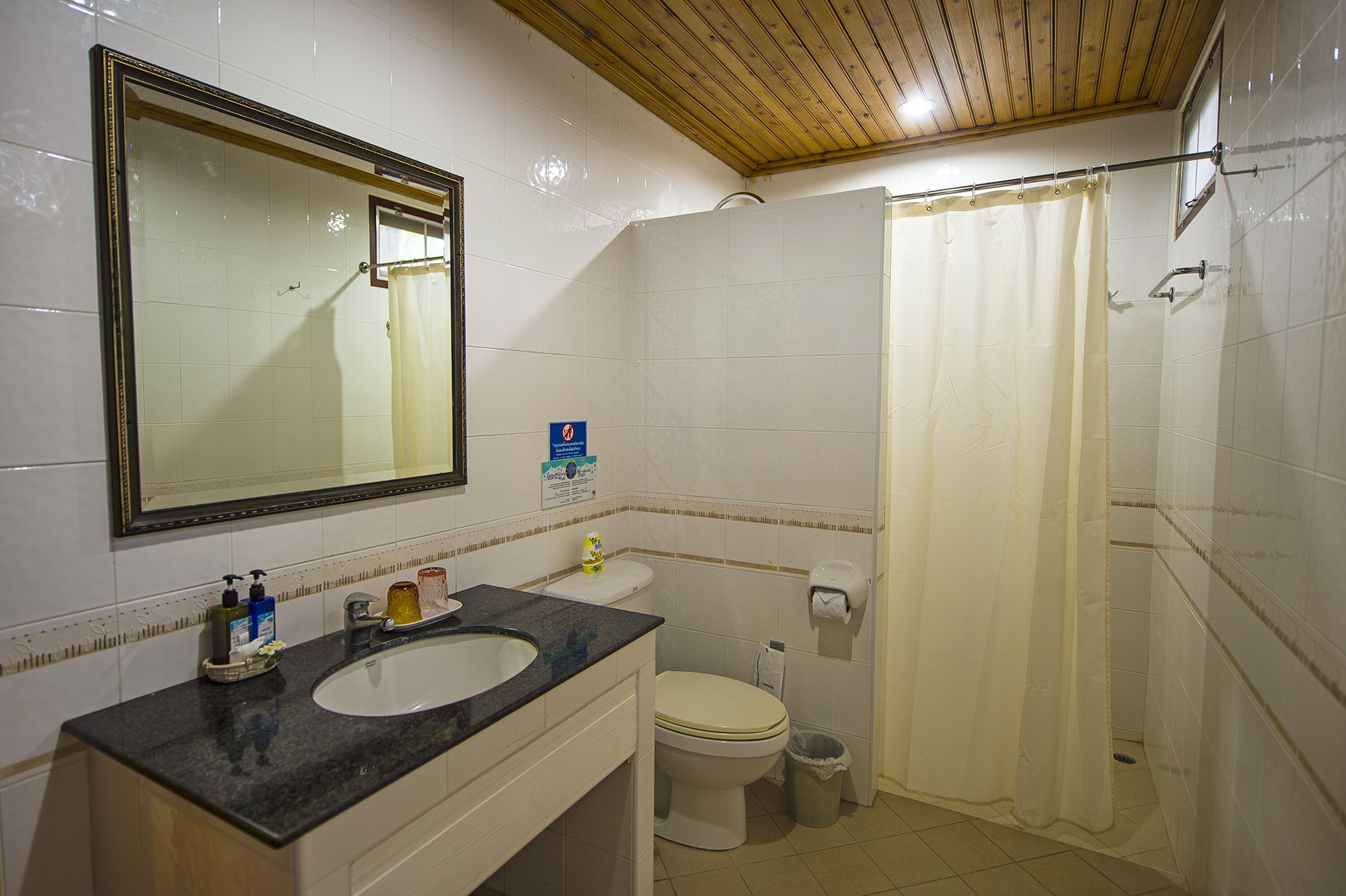deluxe double room | bathroom | shower, free toiletries, hair dryer, slippers