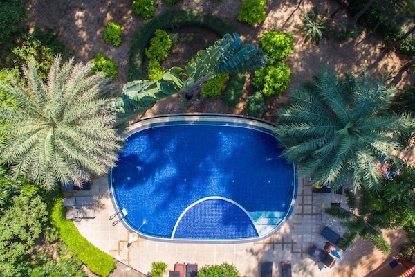 Una piscina al aire libre, sombrillas, sillones reclinables de piscina