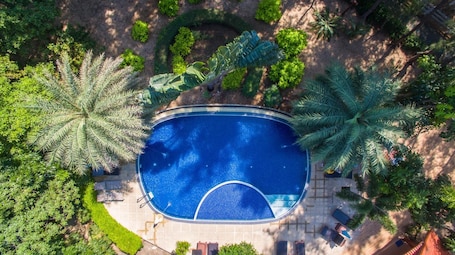 Outdoor pool, pool umbrellas, sun loungers