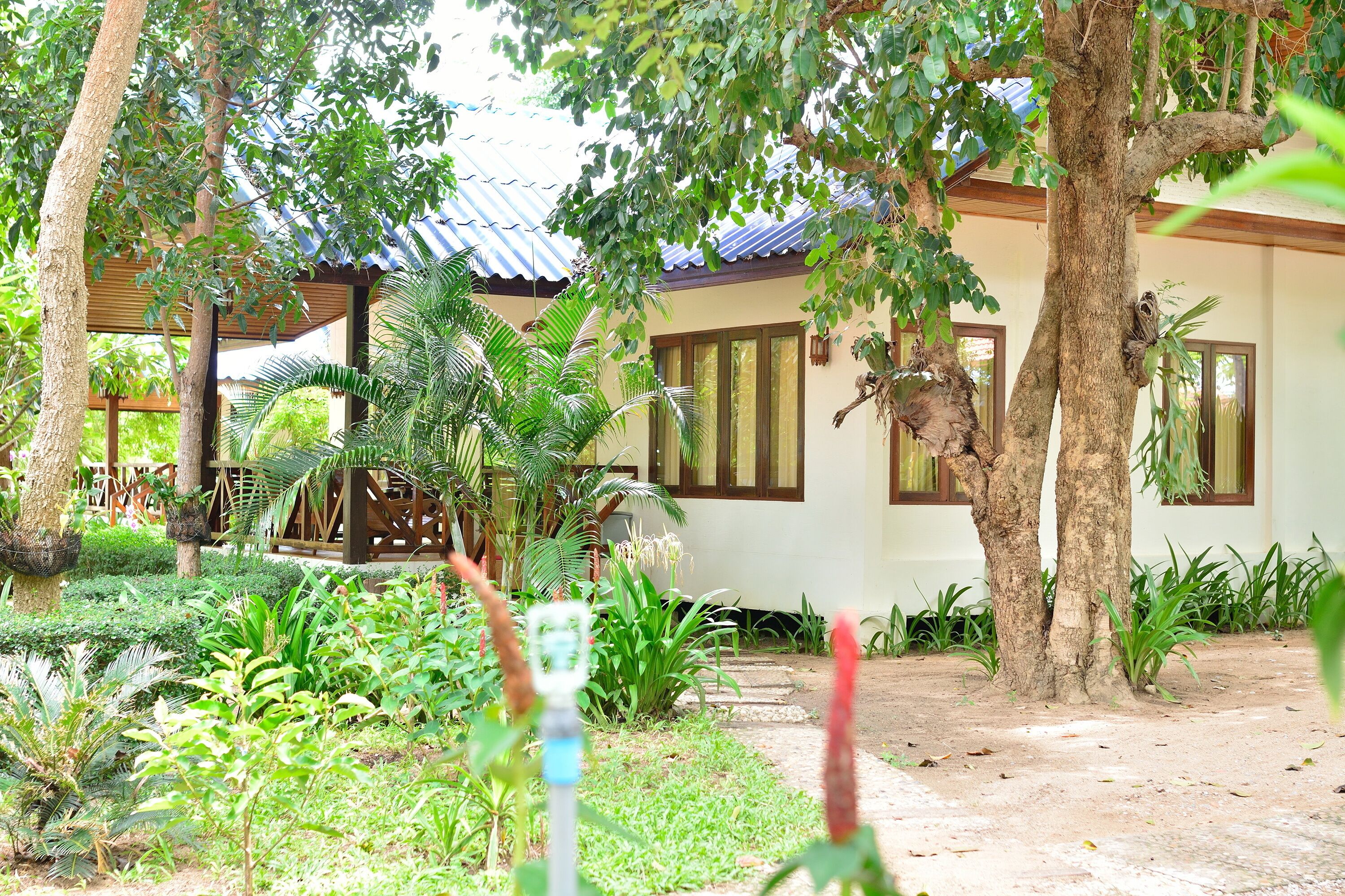 land view from property