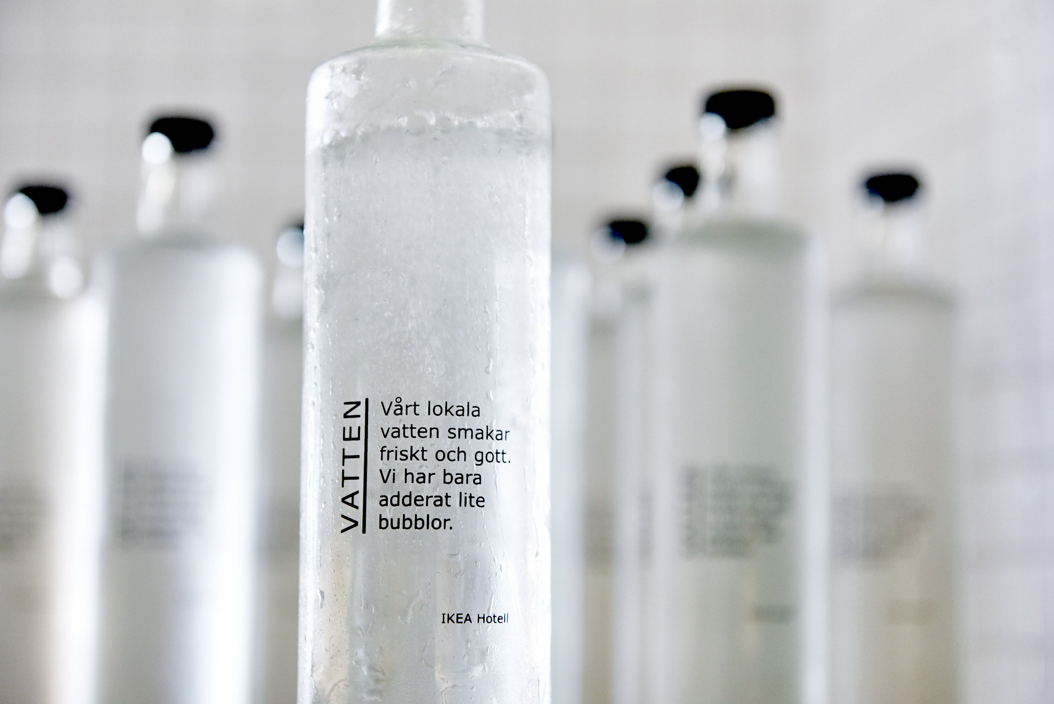 lunch and dinner served