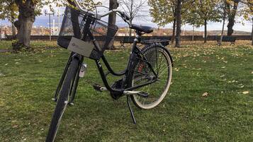 A stationary bicycle with a basket and a water bottle, parked on a grassy area with trees and a distant view of a cityscape.