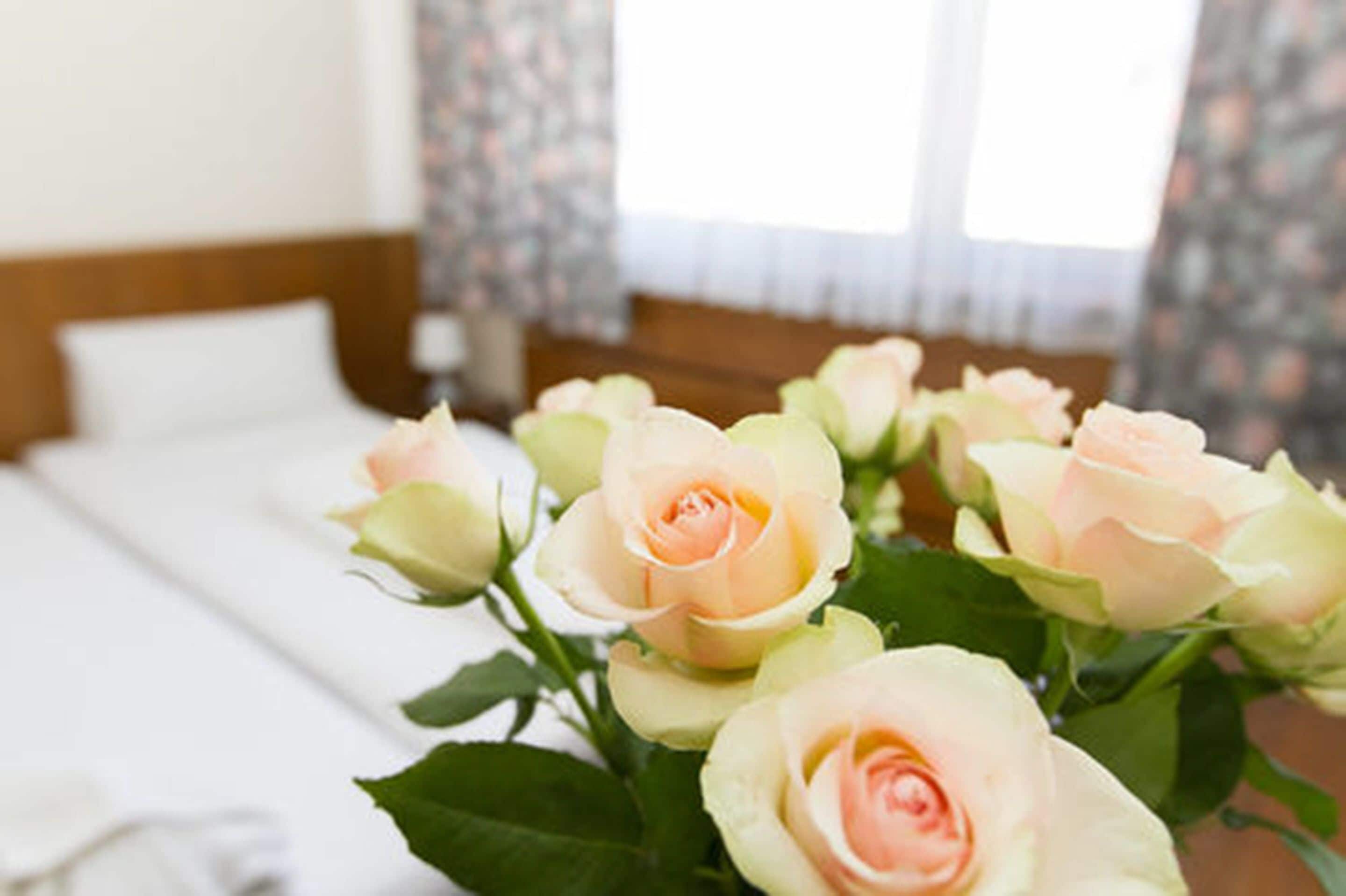 Foto - Hotel Spreewitz am Kurfürstendamm