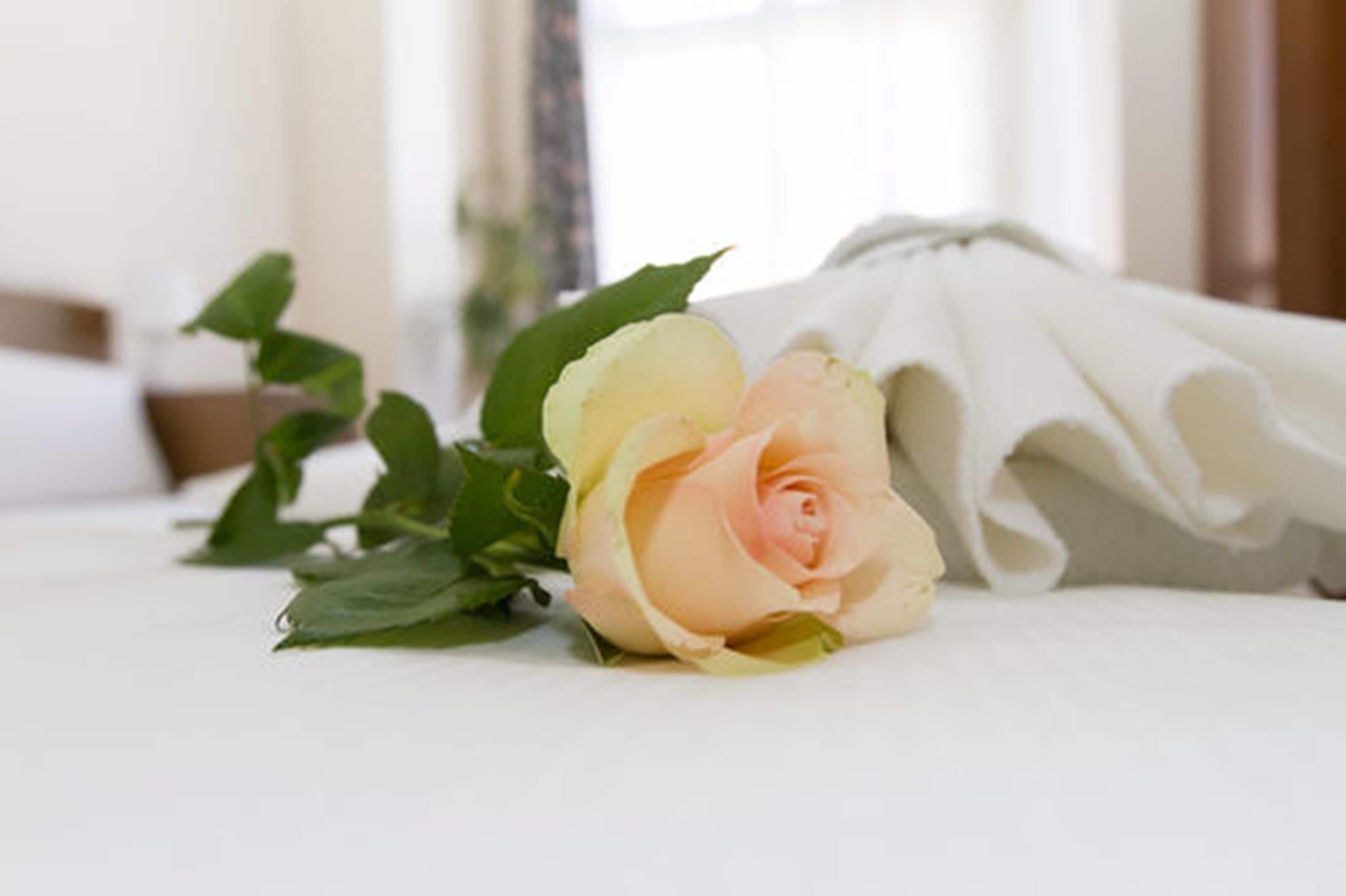 Foto - Hotel Spreewitz am Kurfürstendamm