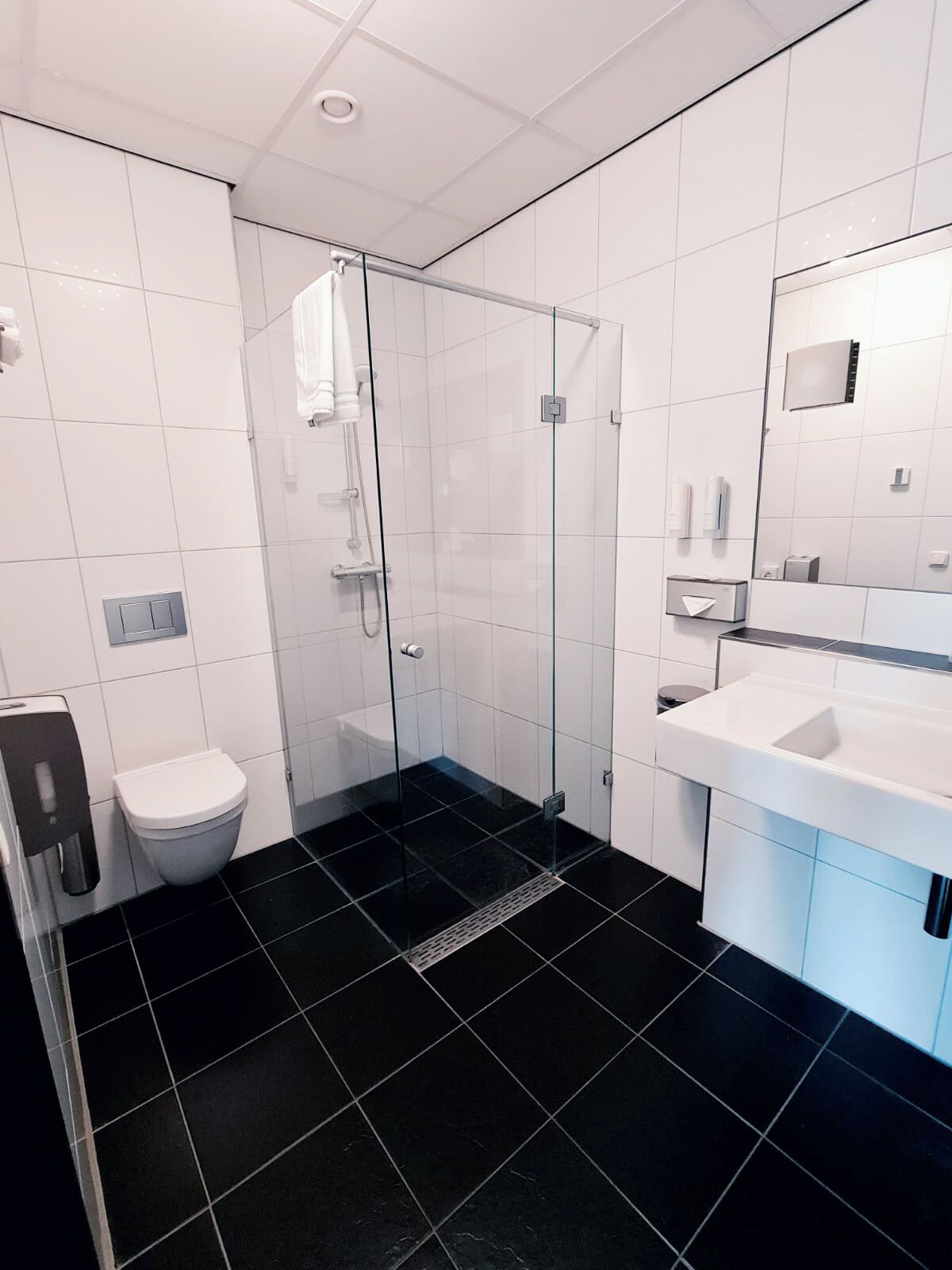 Ein modernes Badezimmer mit einer gläsernen Duschkabine, einer weißen Toilette und einem Waschbecken mit Spiegel.