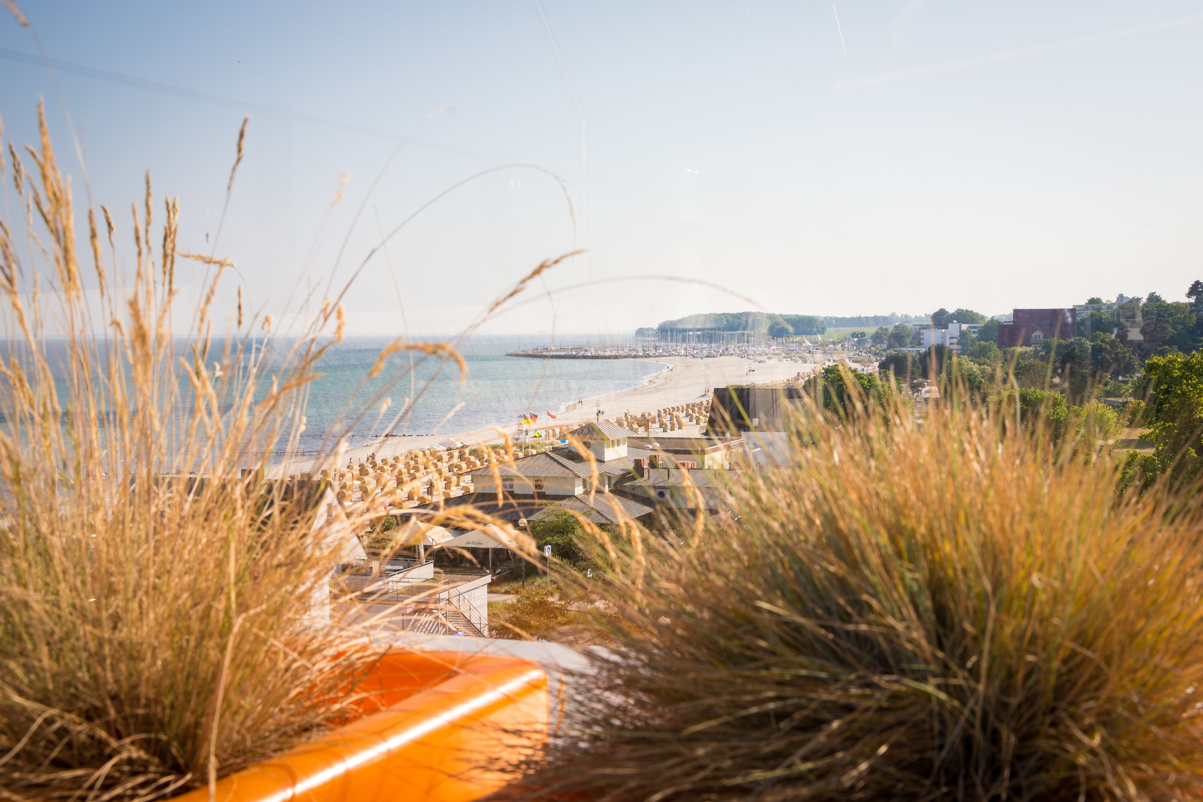 A coastal view with a beach, buildings, and grass in the foreground.