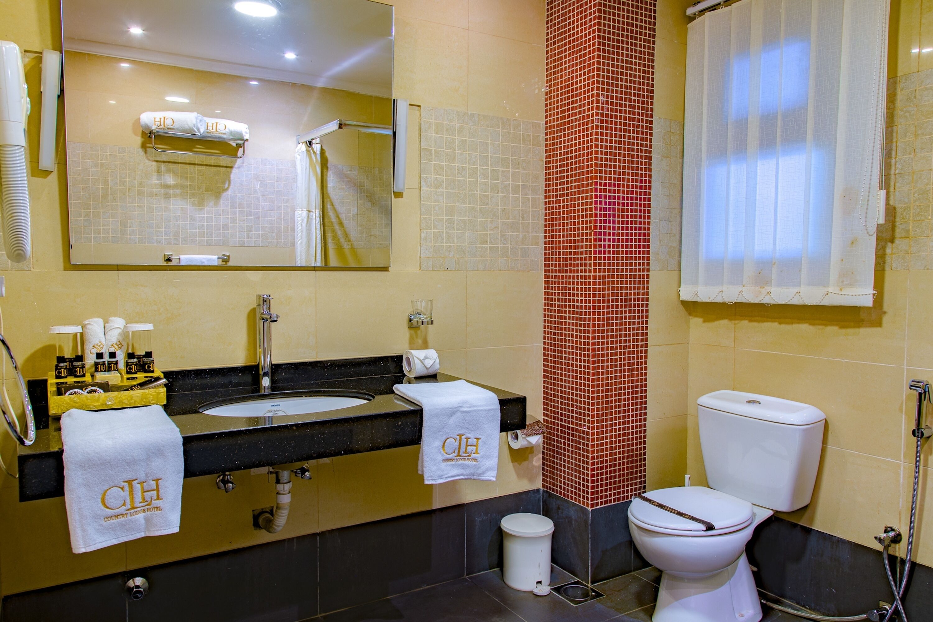 A hotel bathroom with a sink, mirror, towel rack, and toilet.
