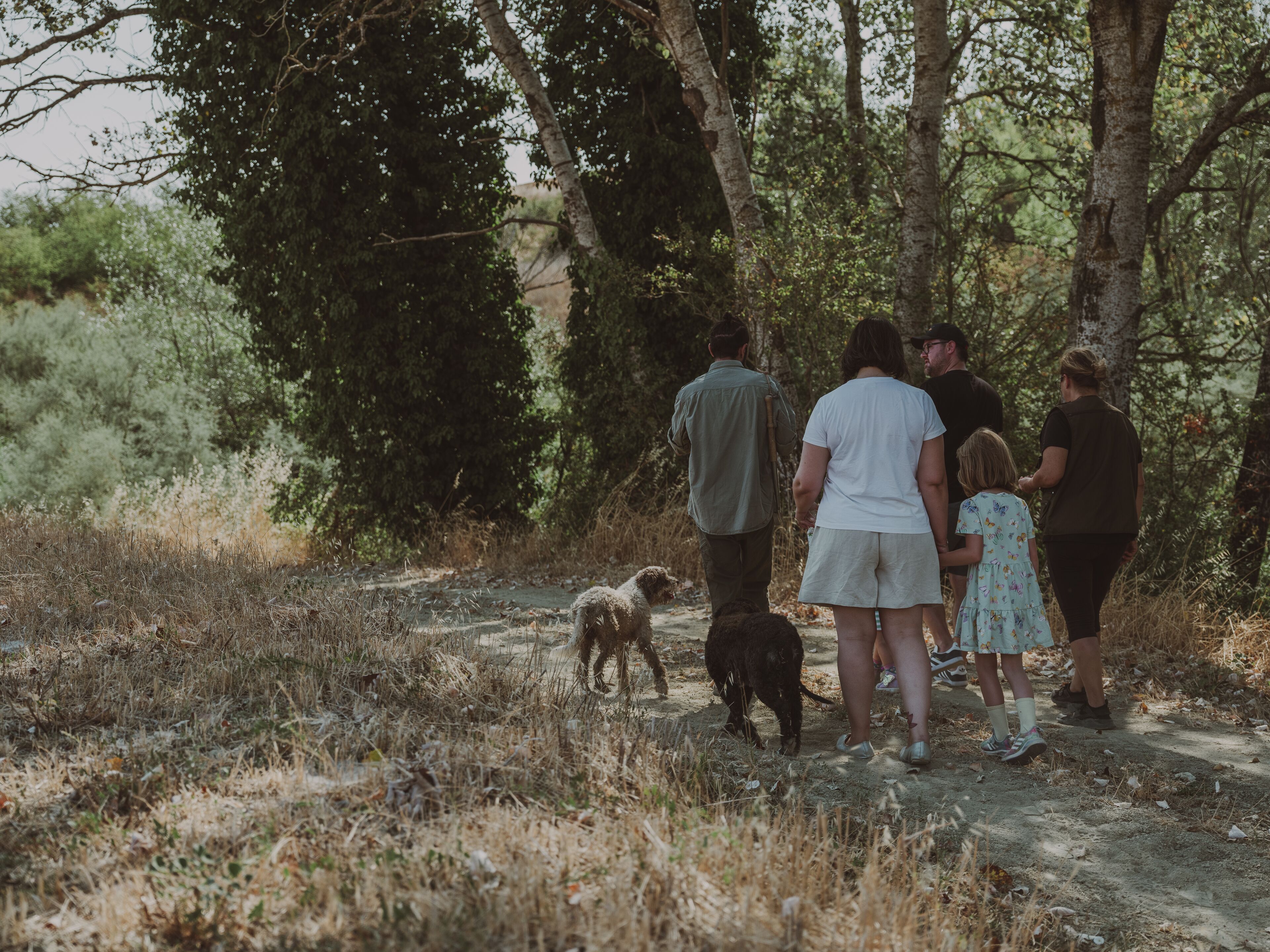 Un gruppo di persone che cammina lungo un sentiero sterrato, circondato da alberi.