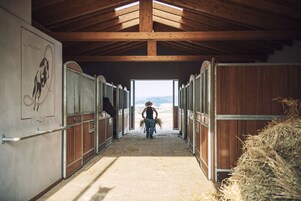 Escursioni a cavallo