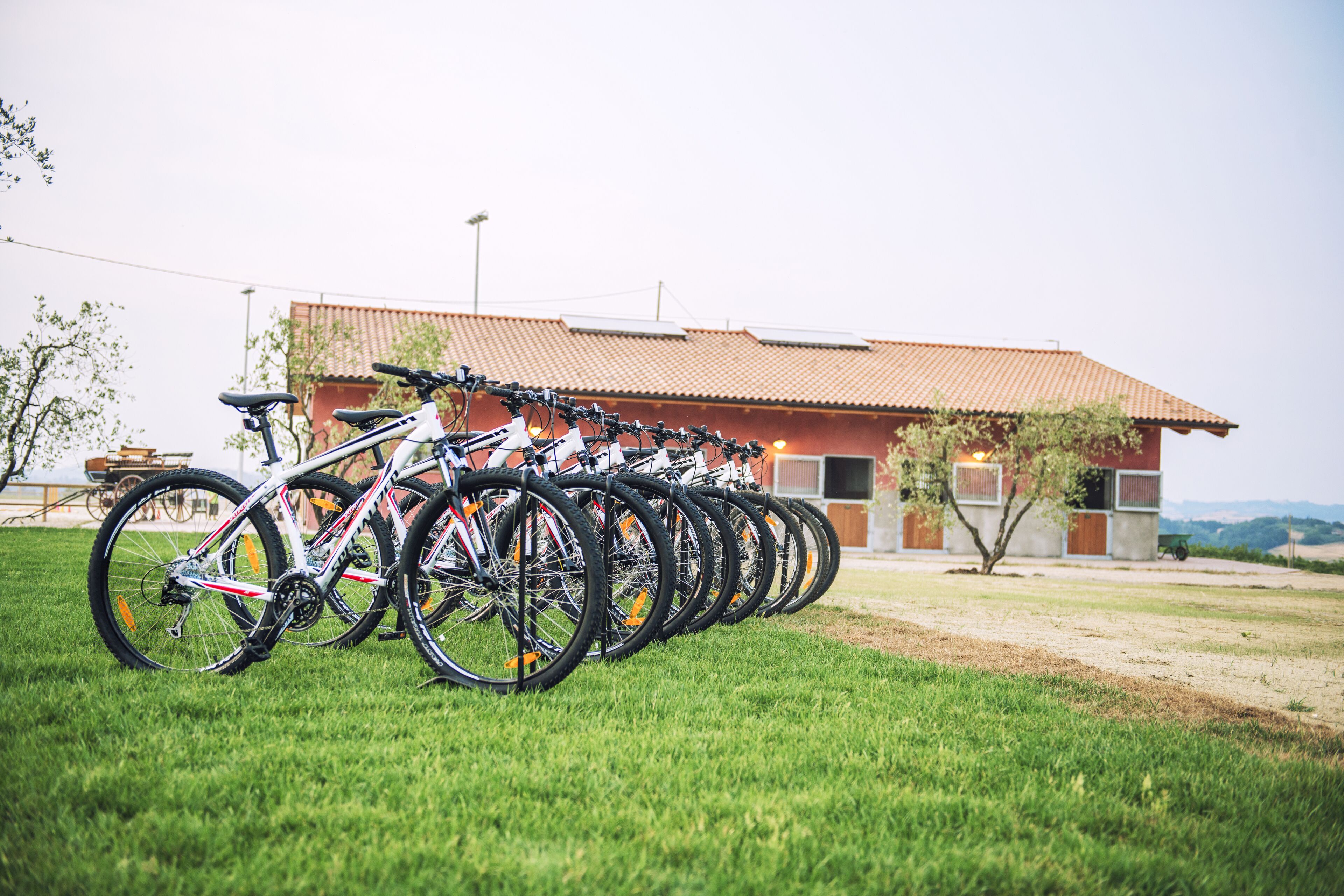 A row of bicycles parked on a grassy area in front of a building with a red roof.