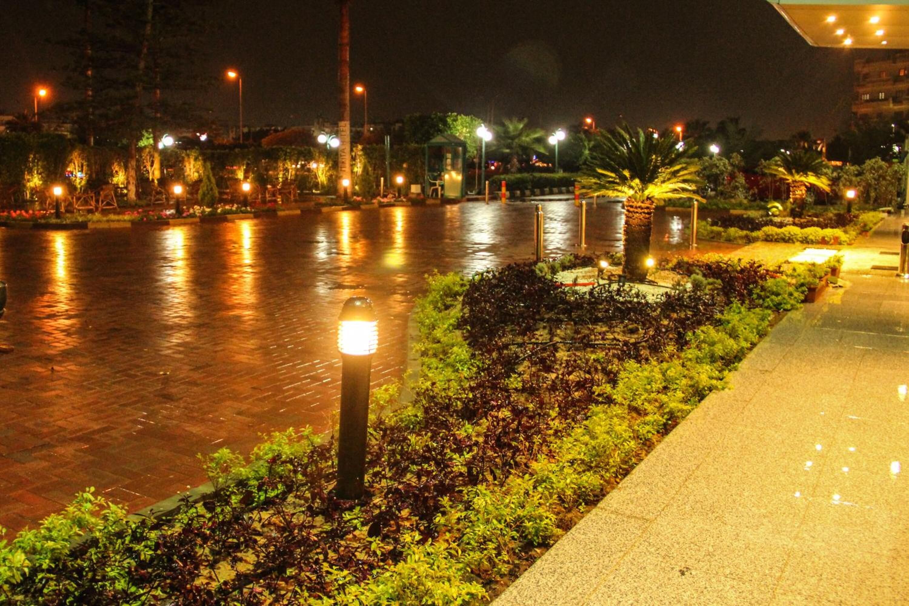 A nighttime view of a waterfront promenade with a paved walkway, illuminated street lamps, and landscaped greenery.