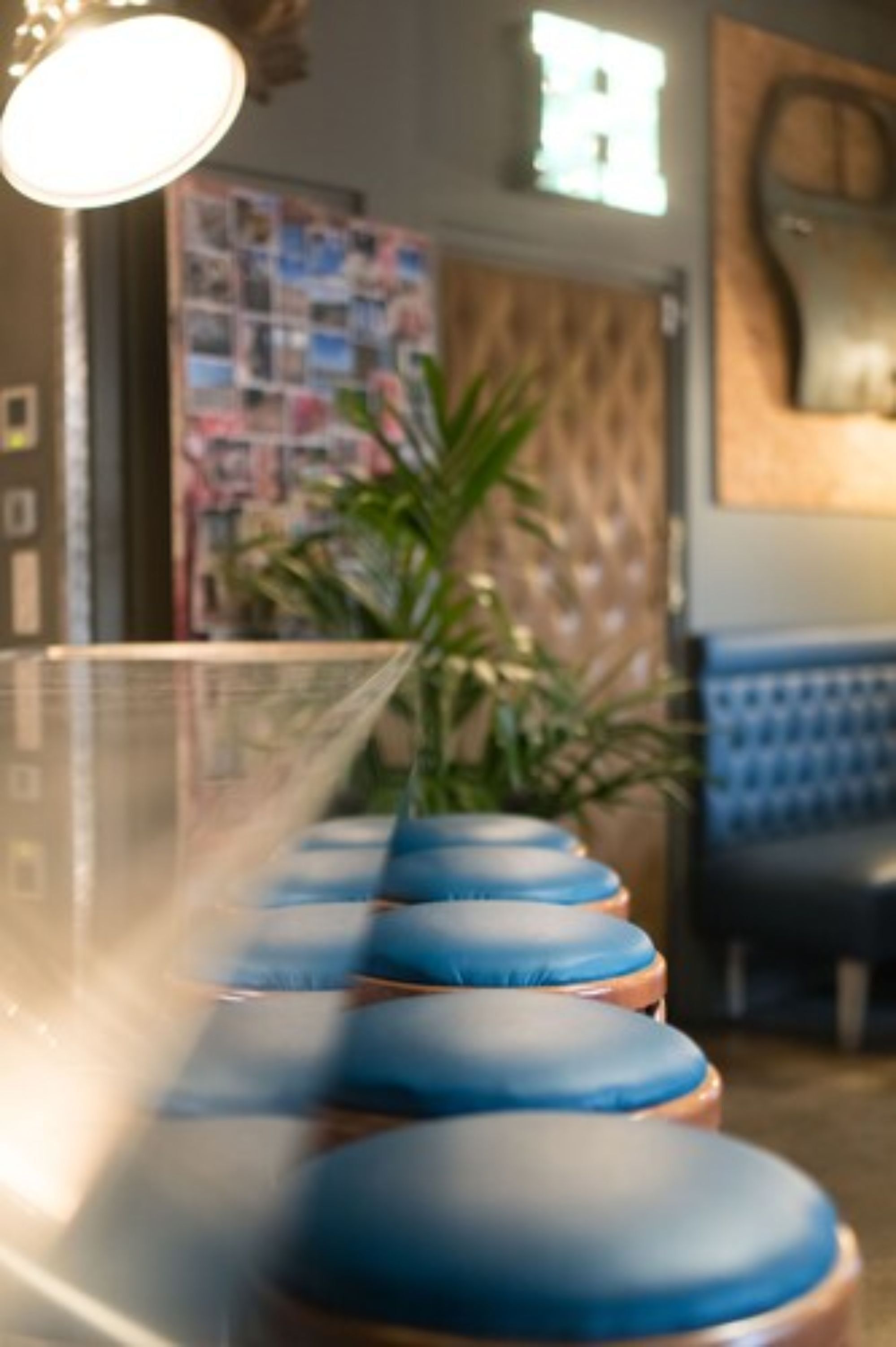 lunch and dinner served