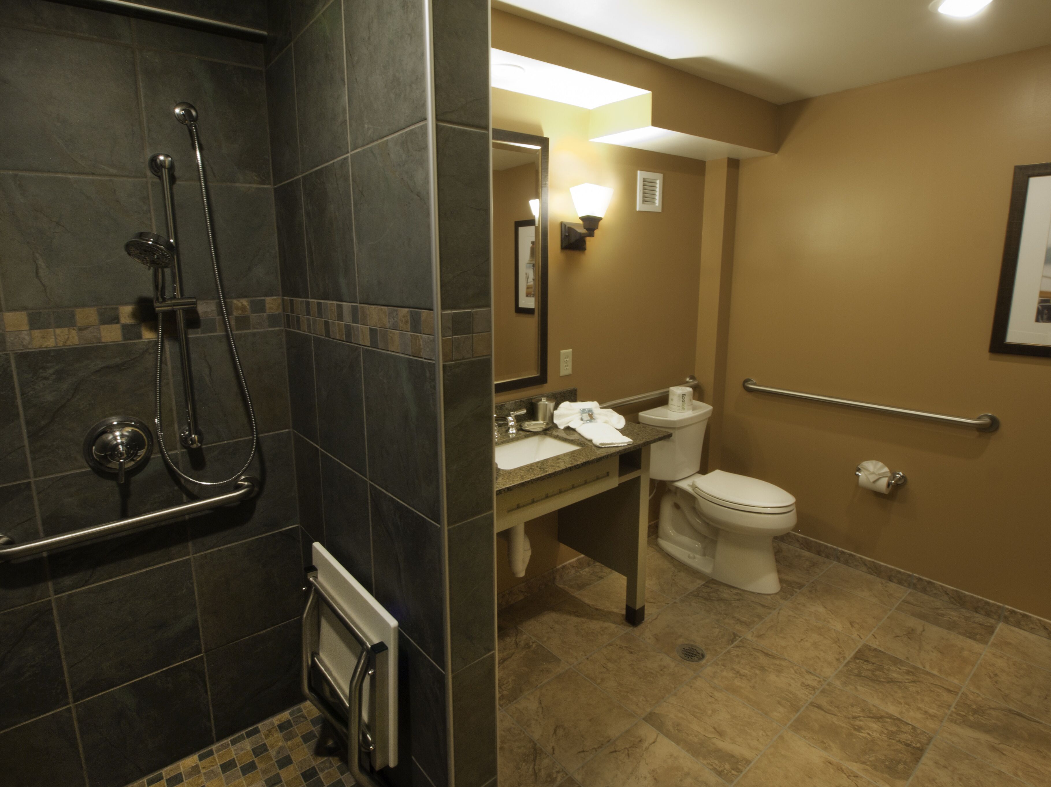 Une salle de bain équipée d’une douche, de toilettes, d’un lavabo et d’une barre d’appui.