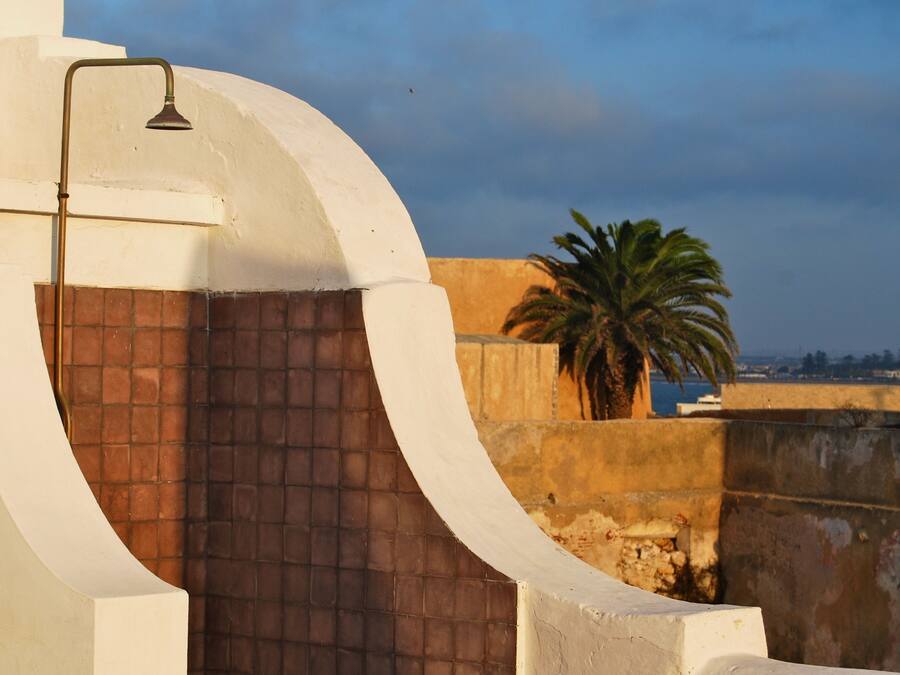 Pared blanca curva con cabezal de ducha, pared azulejada y una palmera al fondo.