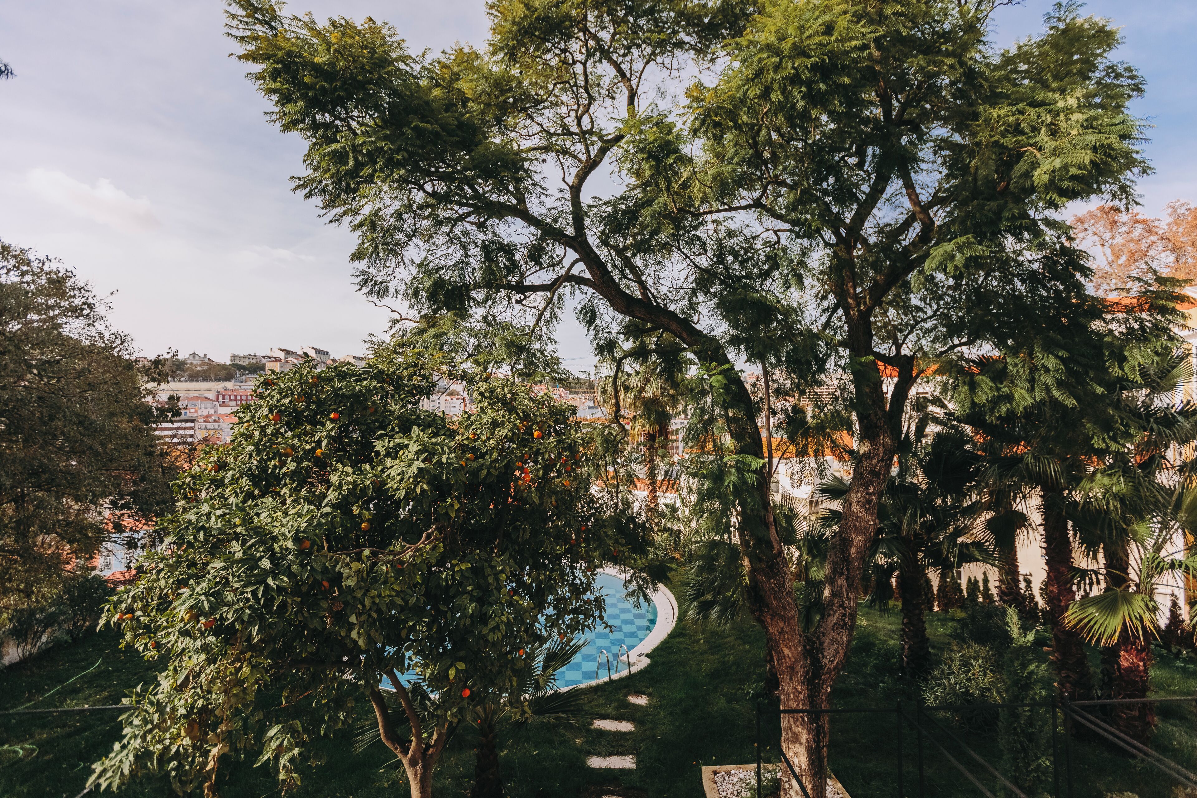 Una piscina rodeada de exuberante vegetación y árboles.