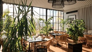 Un espacio interior iluminado por el sol con ventanas amplias, muebles de mimbre y varias plantas en macetas.