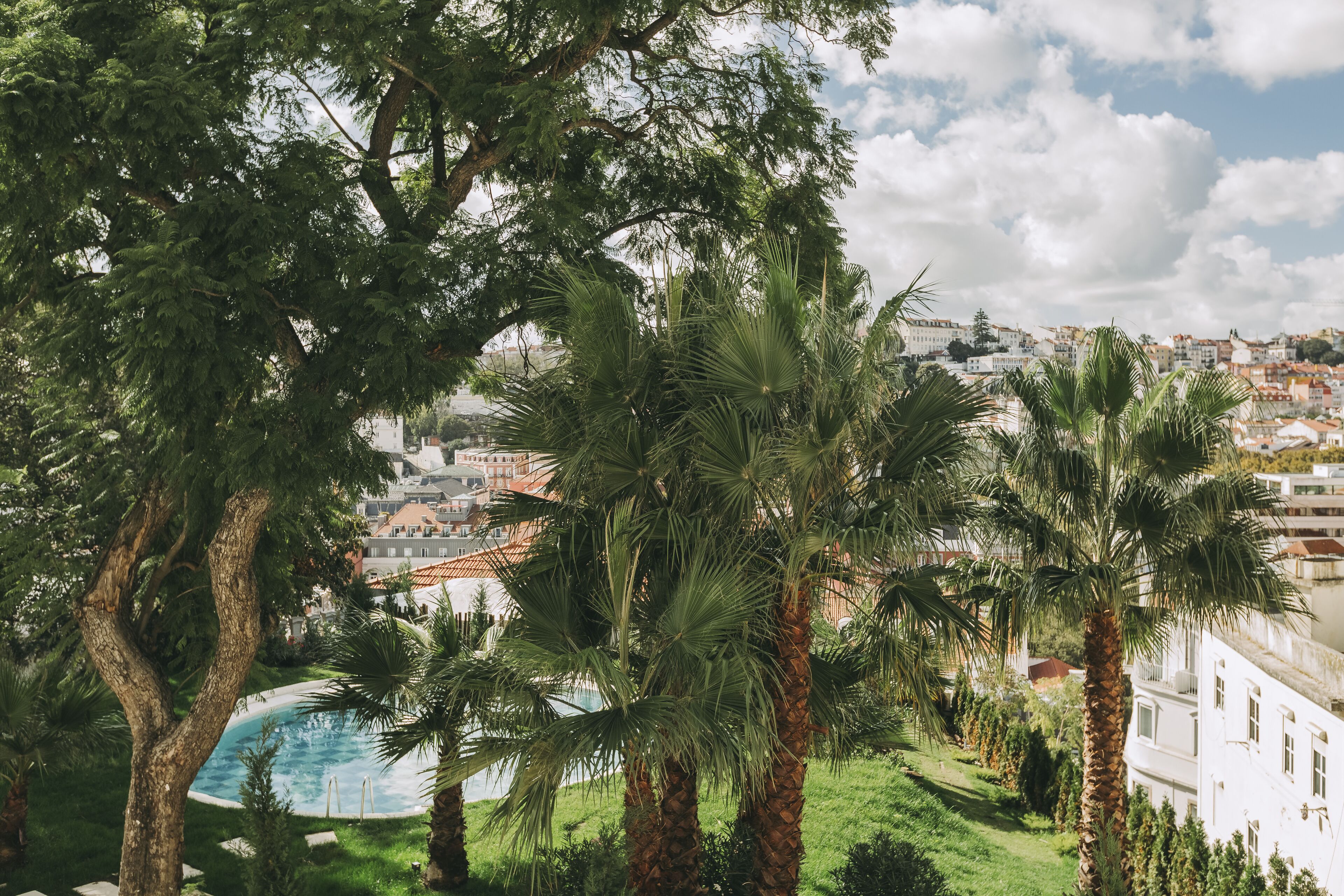 deluxe suite, city view | city view