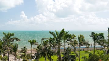 A beach view with palm trees and a clear sky.