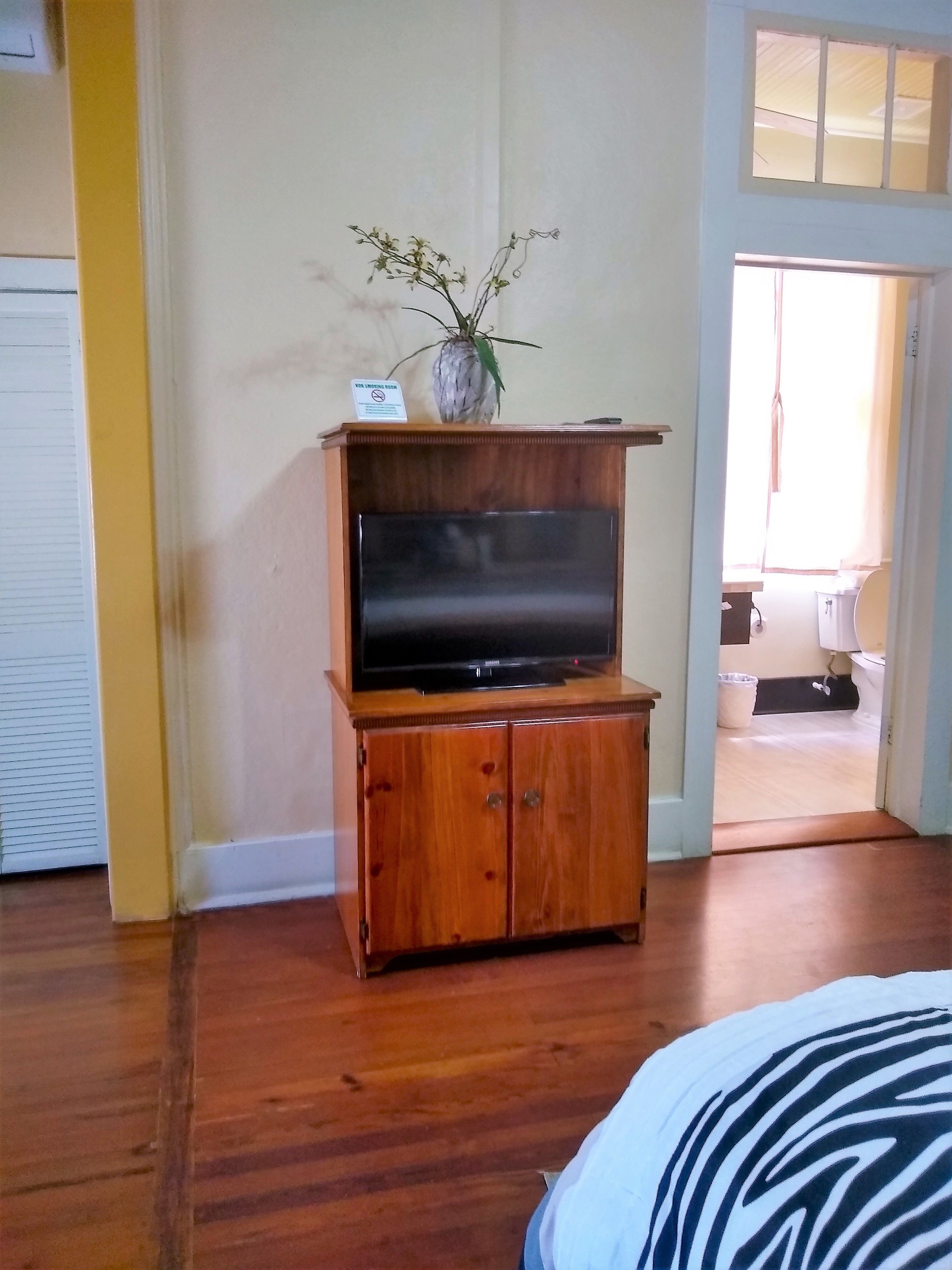 TV