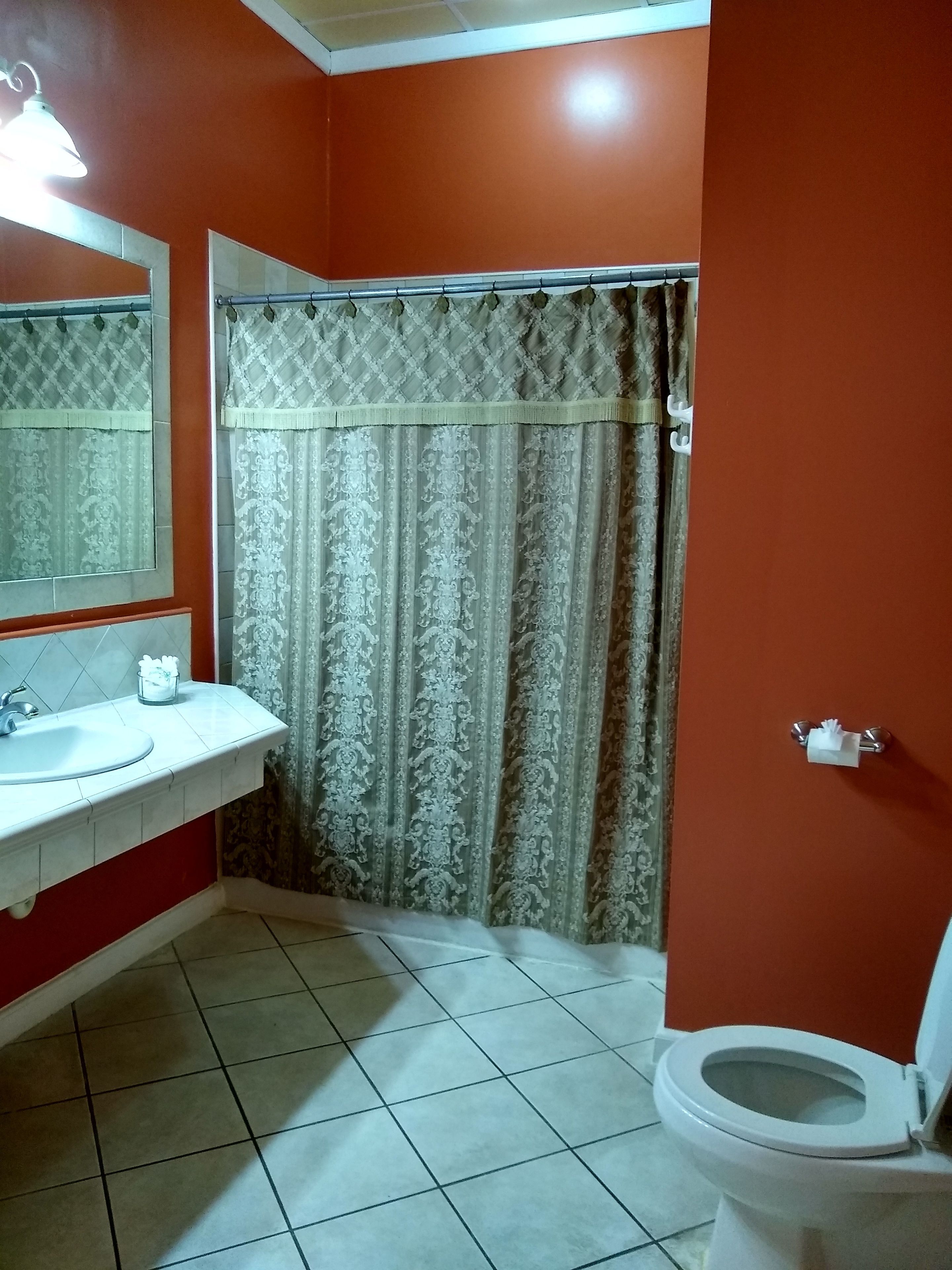 A bathroom with a white sink, a toilet, and a shower curtain.