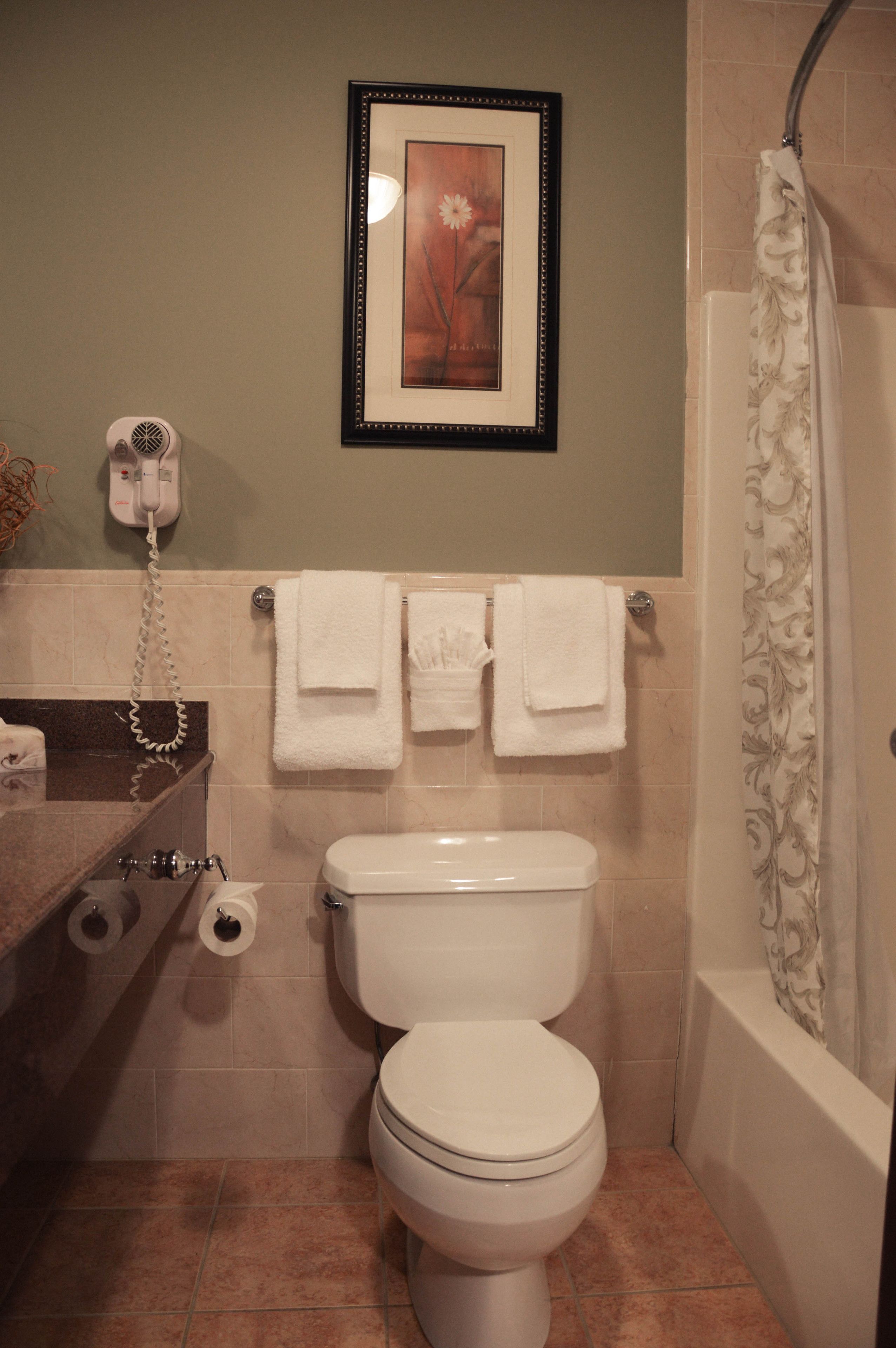 free toiletries, hair dryer, towels