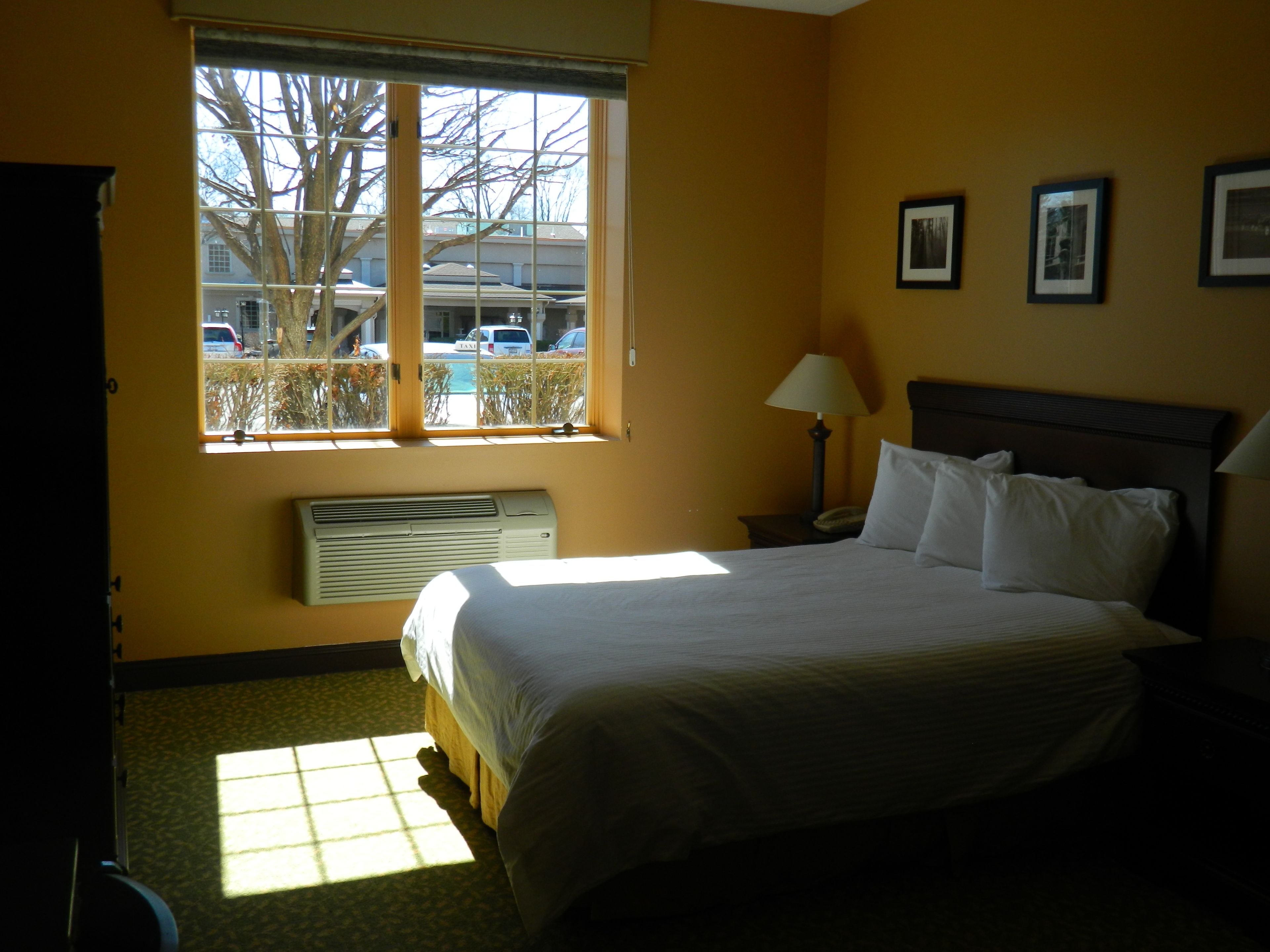 standard room, 1 queen bed | 1 bedroom, desk, iron/ironing board, free wifi