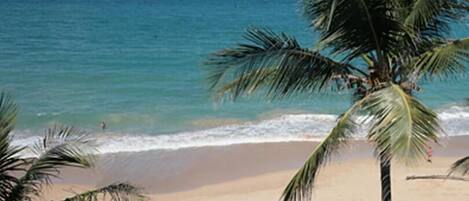 Una playa con palmeras y vista al océano.