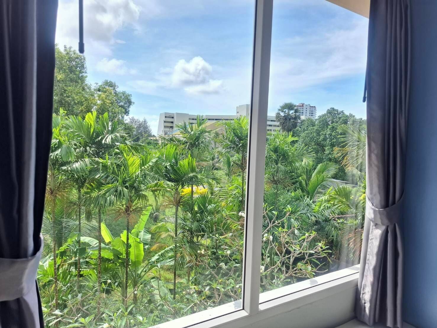 Superior Garden View Room | Garden view